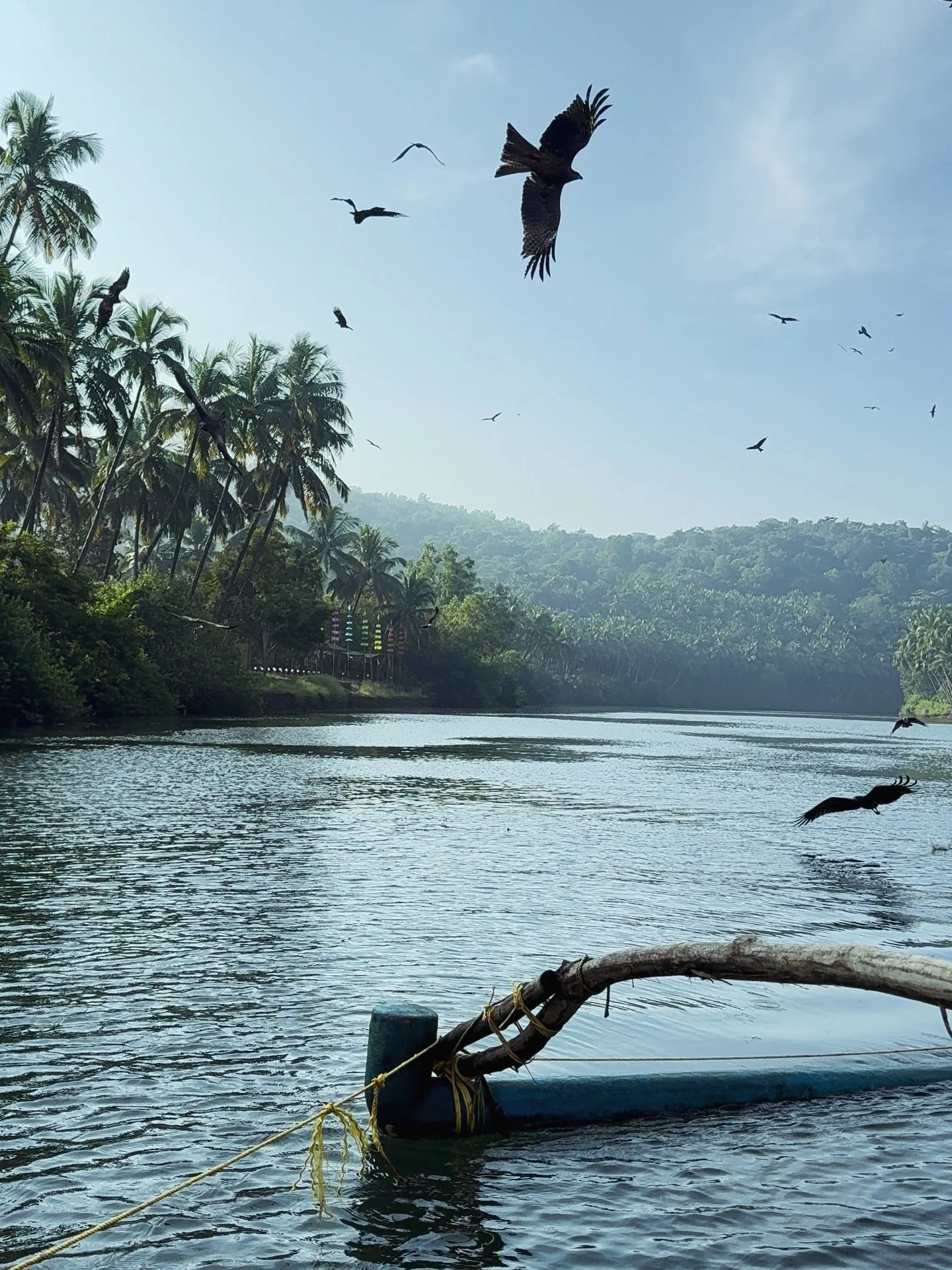 Time here in India is always special.

Thank you @emmajiva for your guidance and the opportunity to return &amp; connect. 

Grateful to all friends, old &amp; new, two legged &amp; four legged for our beautiful time together 🙏🏽 📿 🐾 

#maitri
#omg