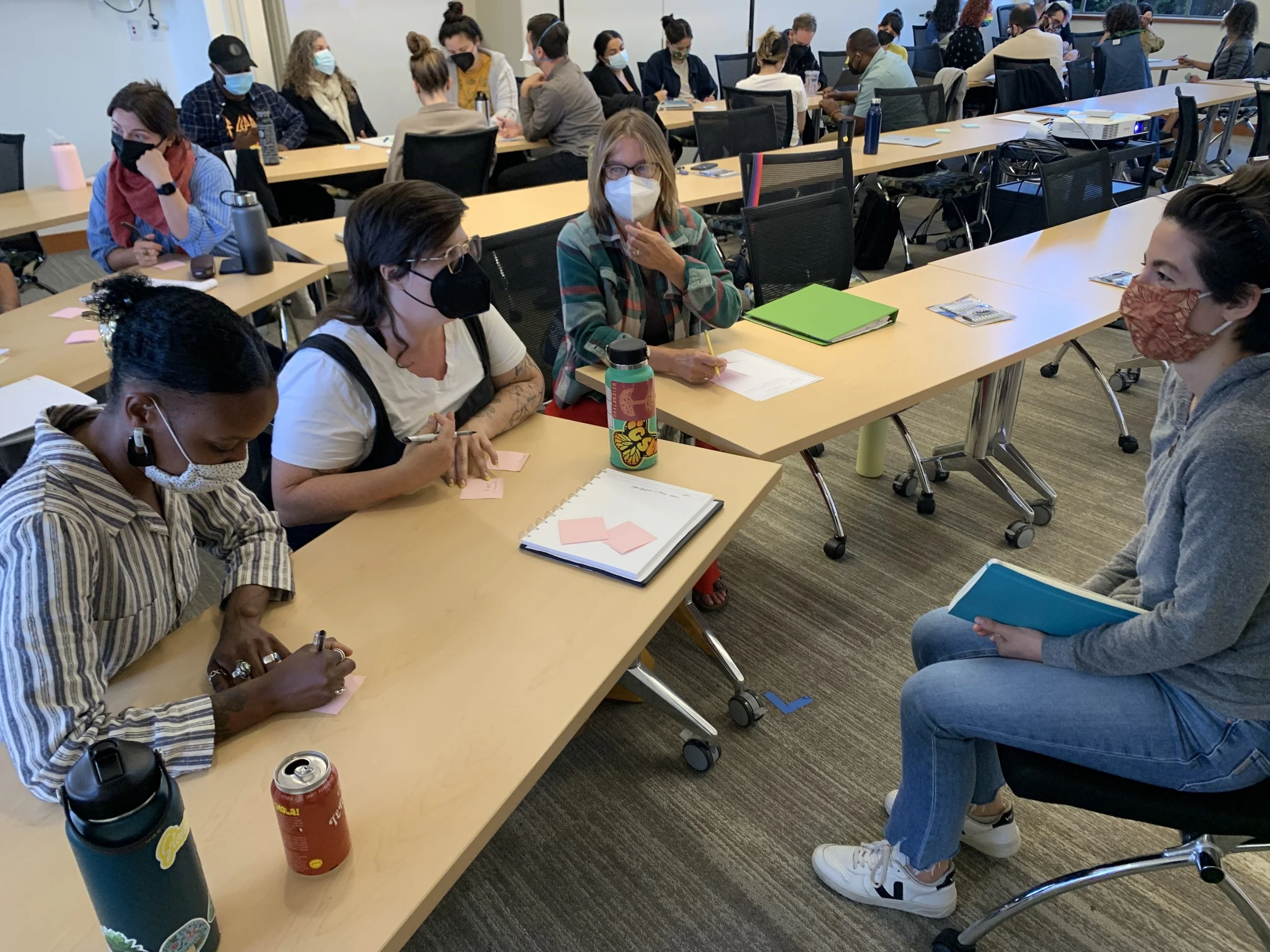 Queer LifeSpace Gives Lecture on LGBTQIA+ Community’s Access to Mental Healthcare to Graduate Students at the Wright Institute in Berkeley, CA