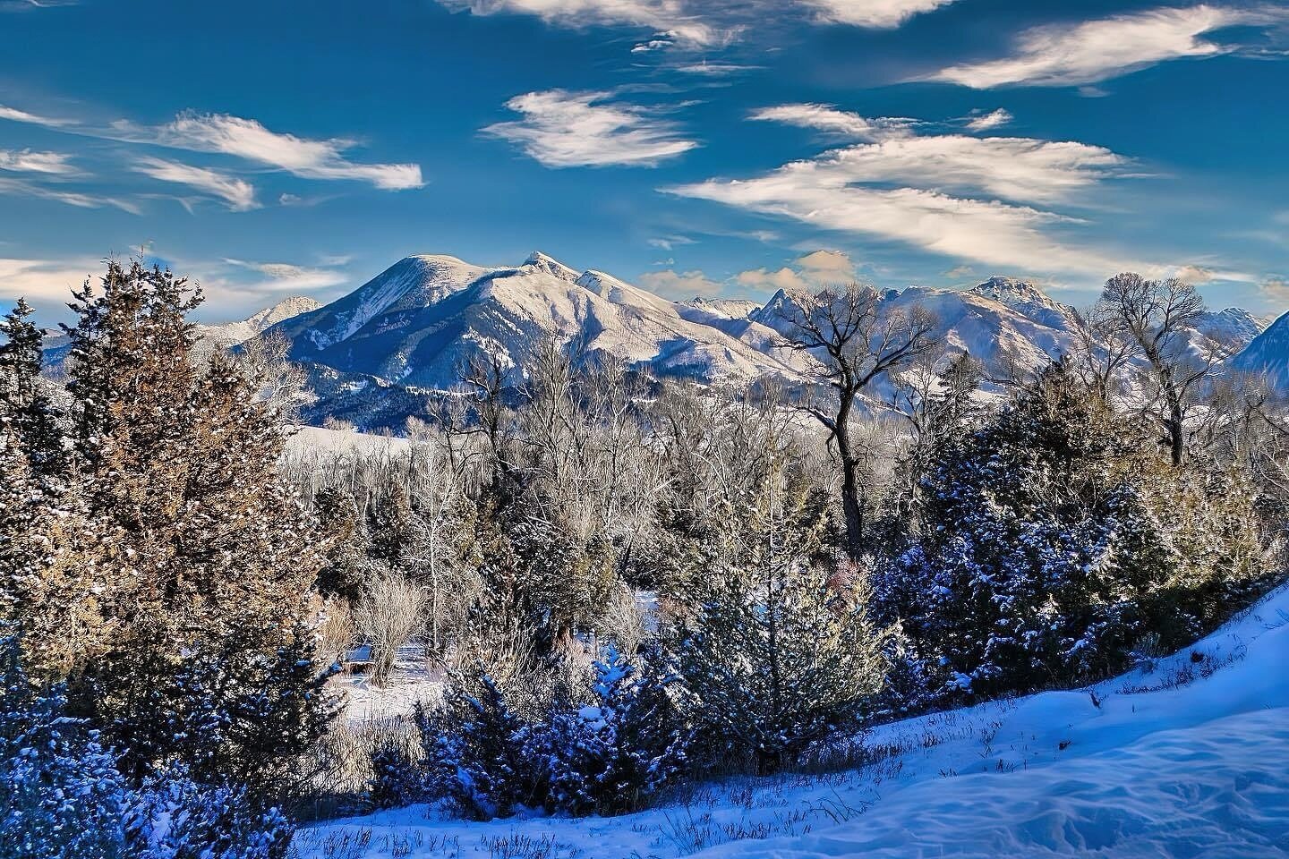 Blue Skies &amp; White Snow
.
#paradisevalley #explorelivingstonmt #blueskys #whitesnow #fluffysnow #bluebirdday #montanamoment #yellowstone #yellowstonecountry #snowcovered