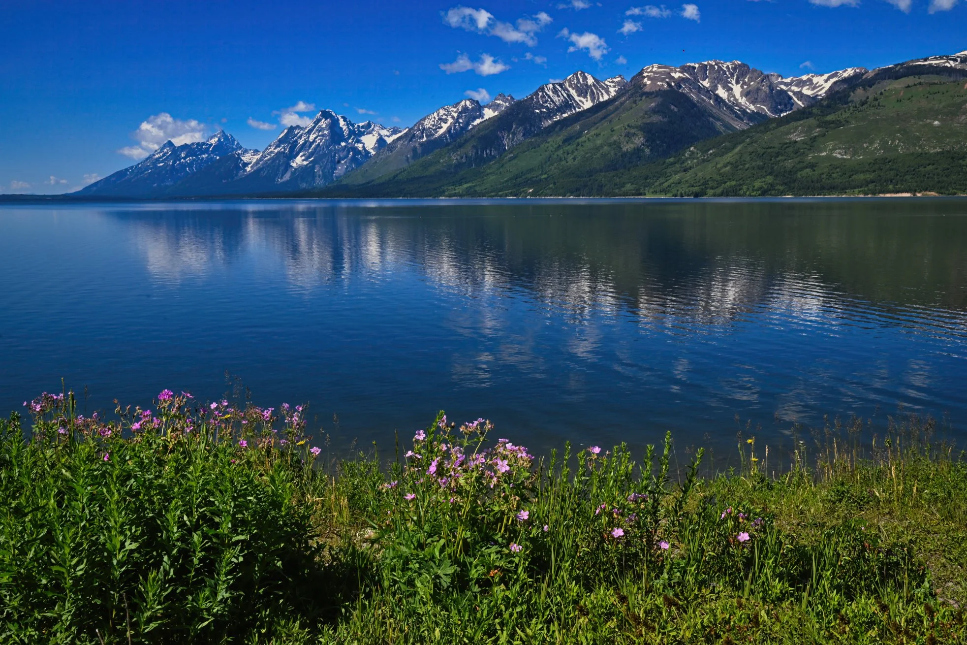 HDB Grand Teton 2/26/1929: Exploring the Grandeur of Grand Teton National Park
