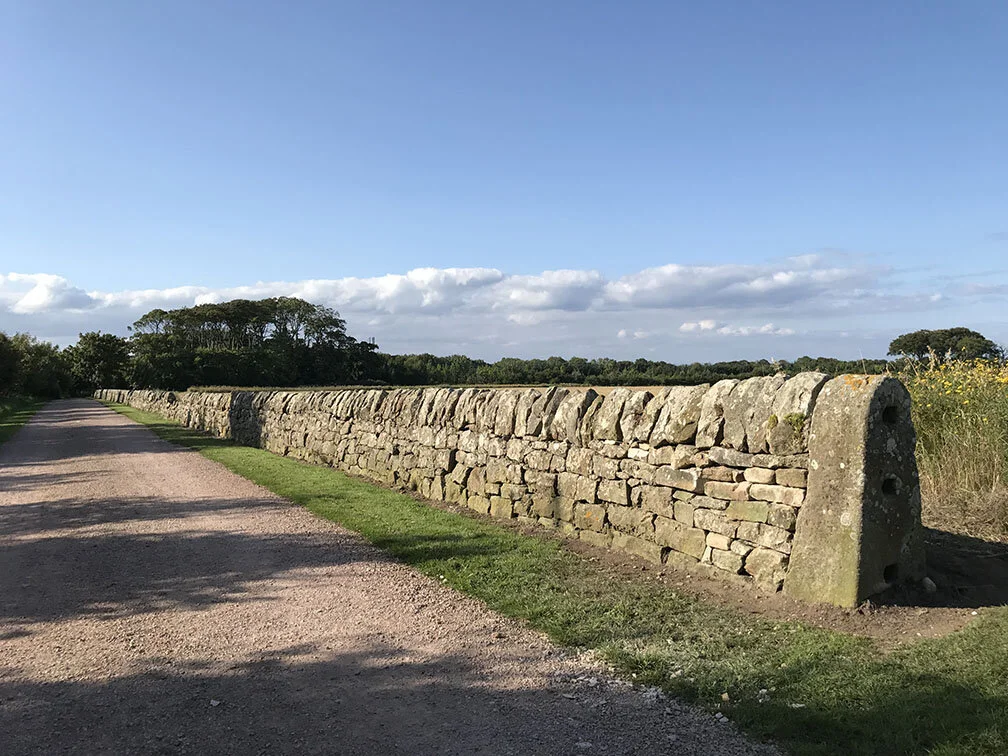 CENTRAL SCOTLAND BRANCH DRY STONE WALLING ASSOCIATION