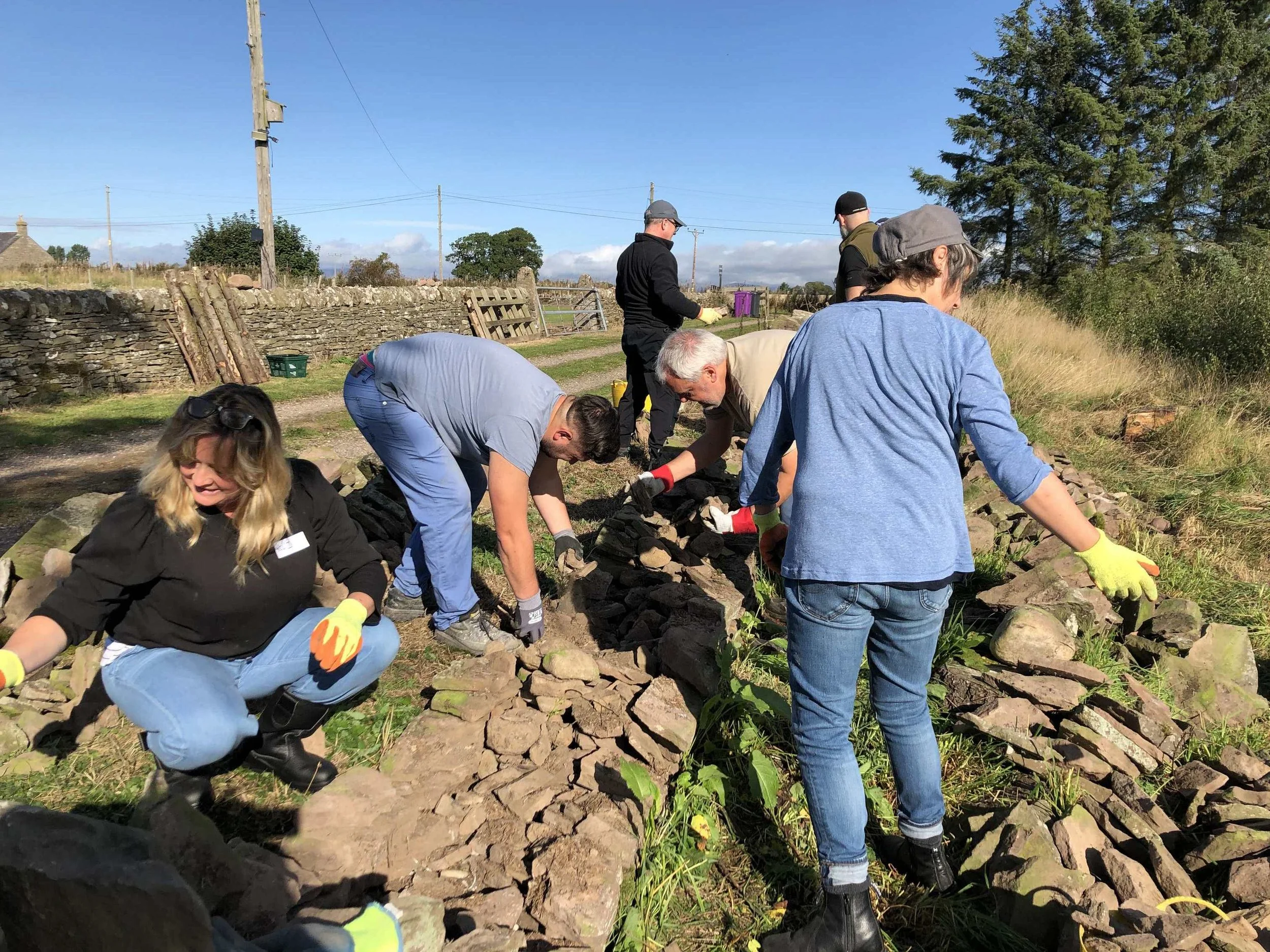Training Courses — CENTRAL SCOTLAND BRANCH DRY STONE WALLING ASSOCIATION
