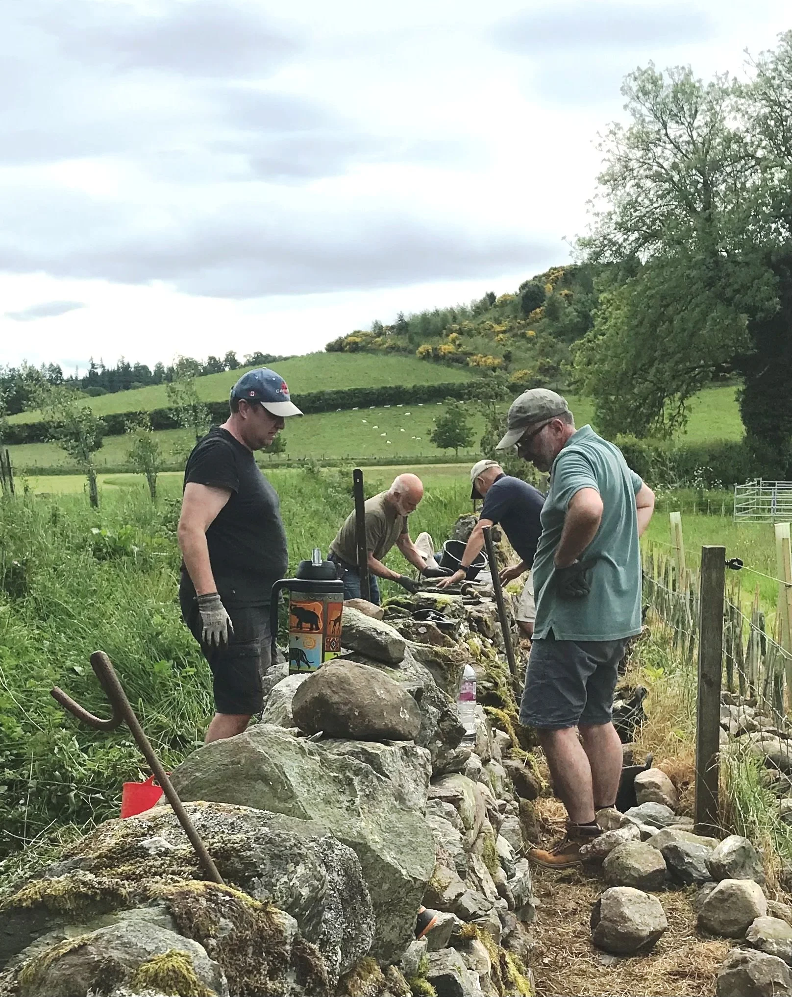 Gallery — CENTRAL SCOTLAND BRANCH DRY STONE WALLING ASSOCIATION