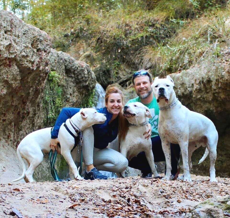 Dogo Argentino Breeder - Celtic Kennels