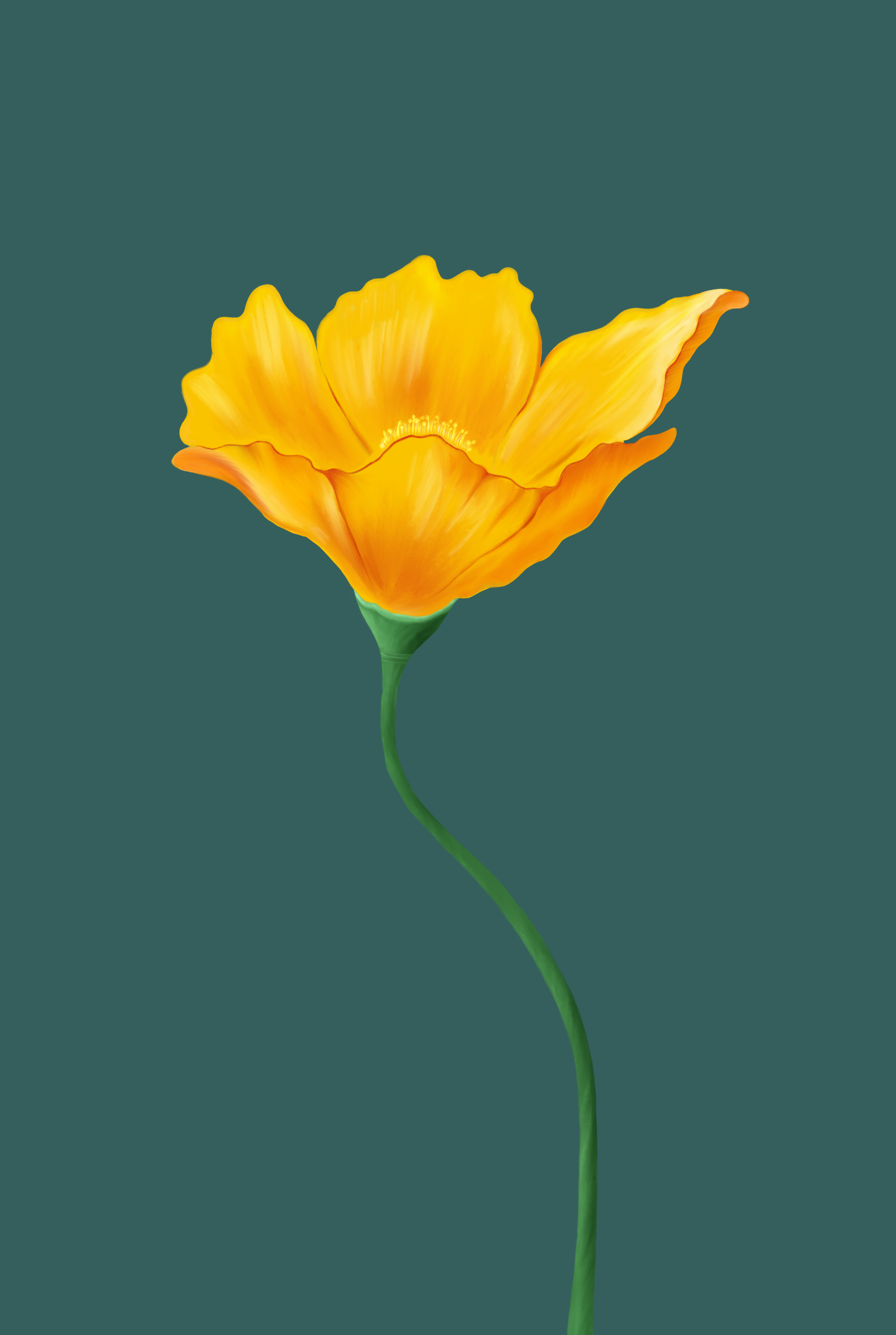 Poppy New.png