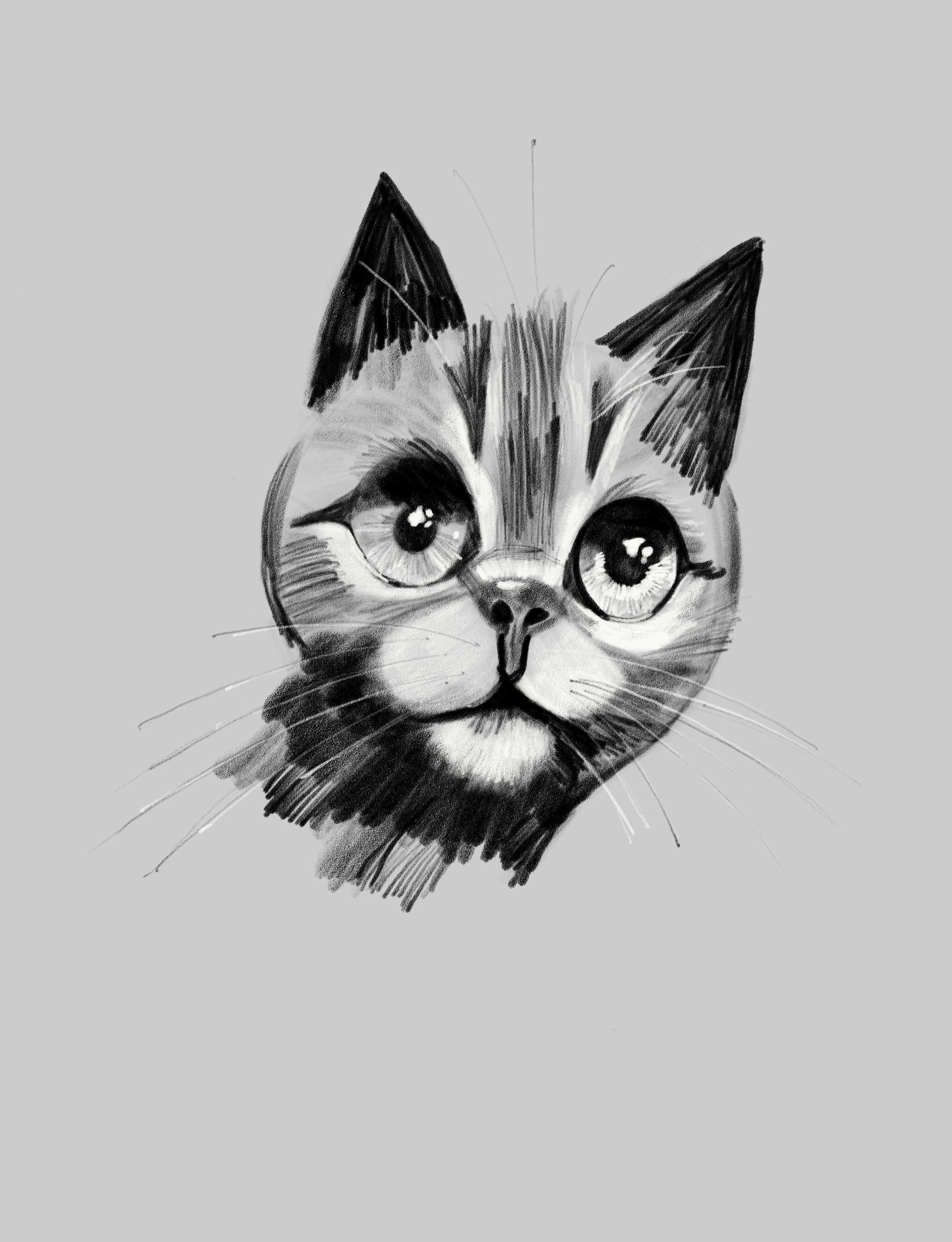 Cat face.png