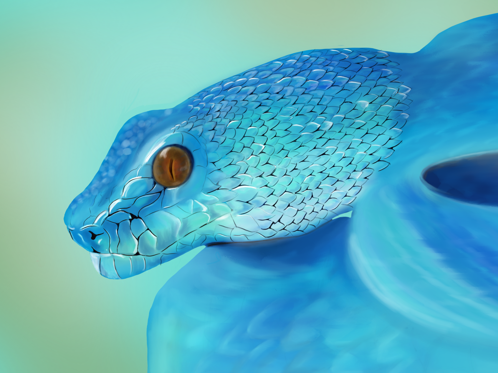 Snake+2.png