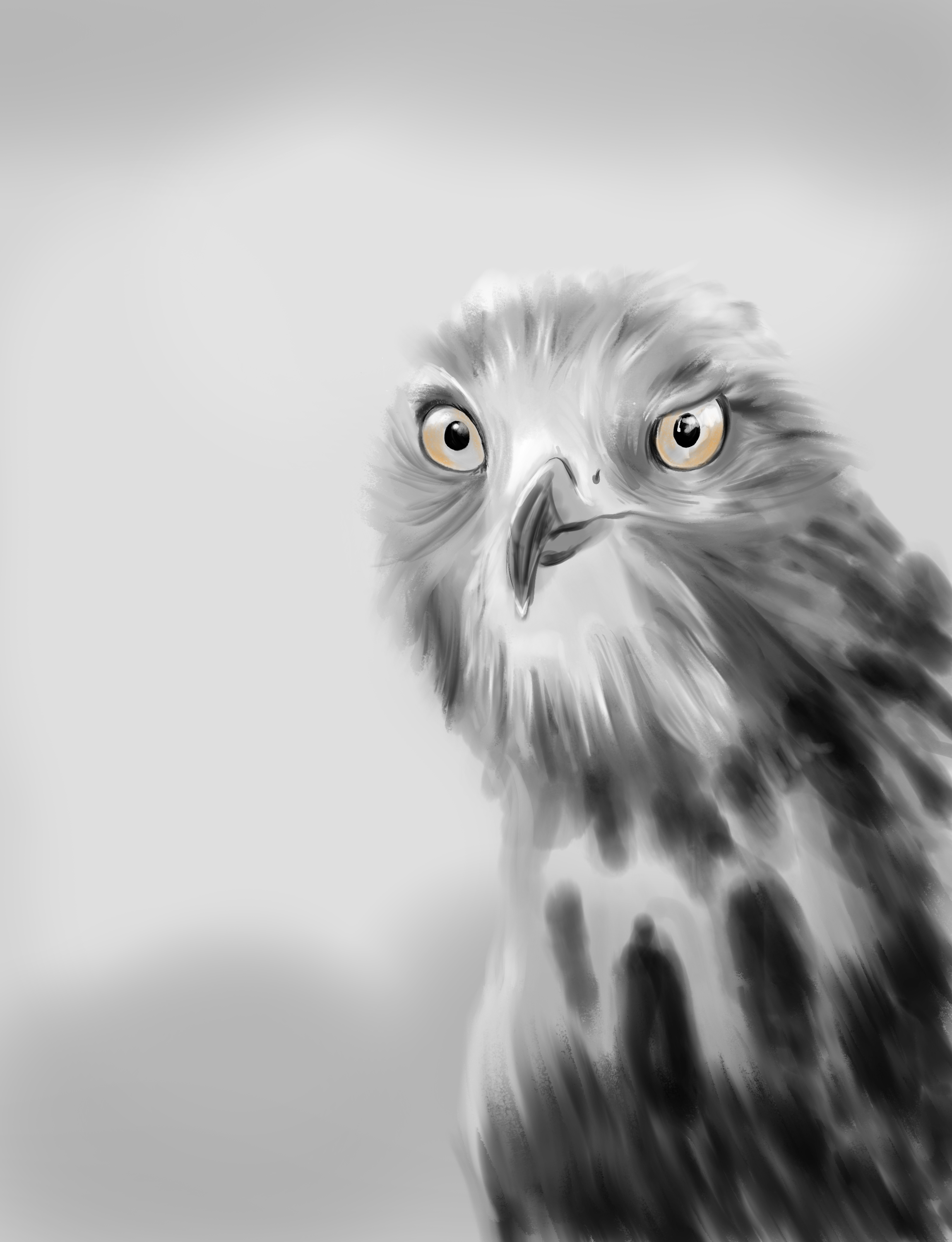 Lady hawk Yellow Eyes.png