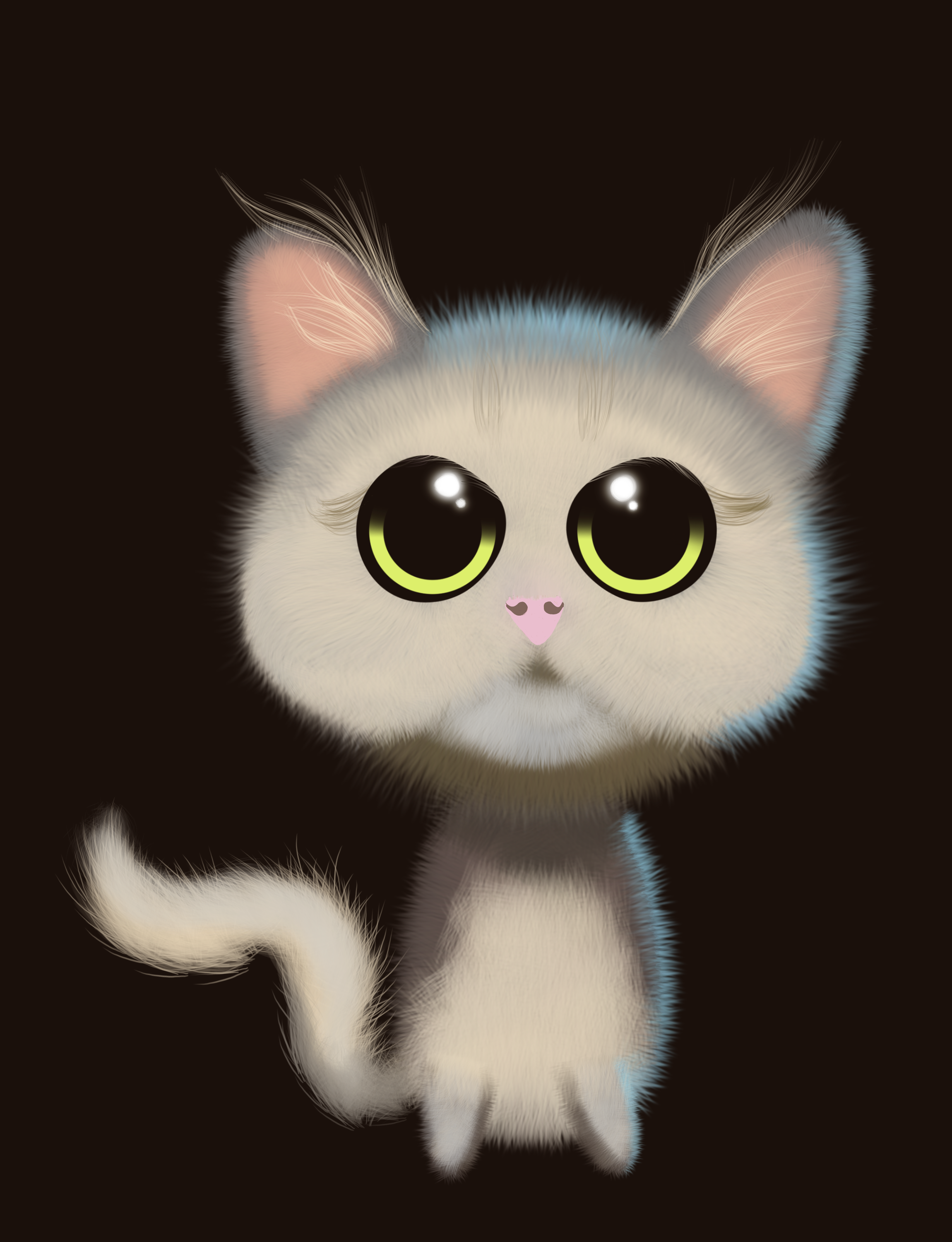 Cute Cat.png