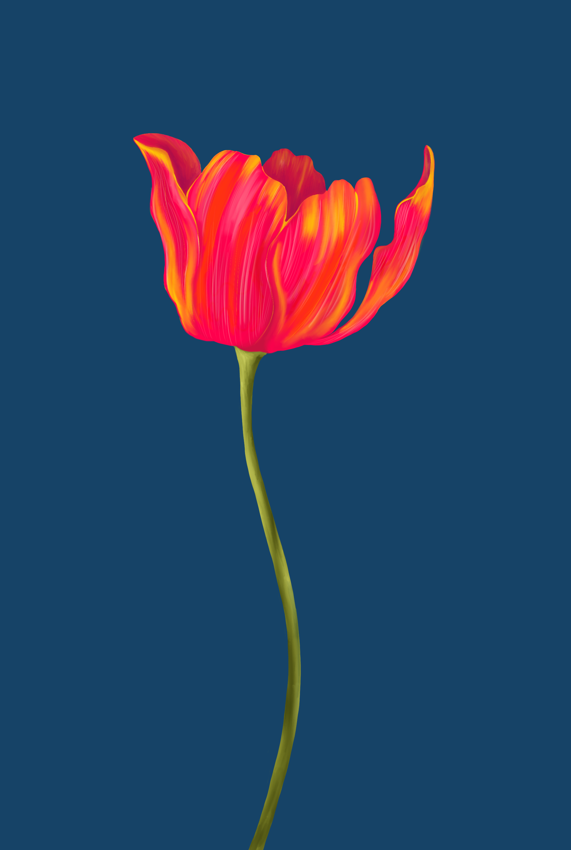 Tulip — dark blue background.png