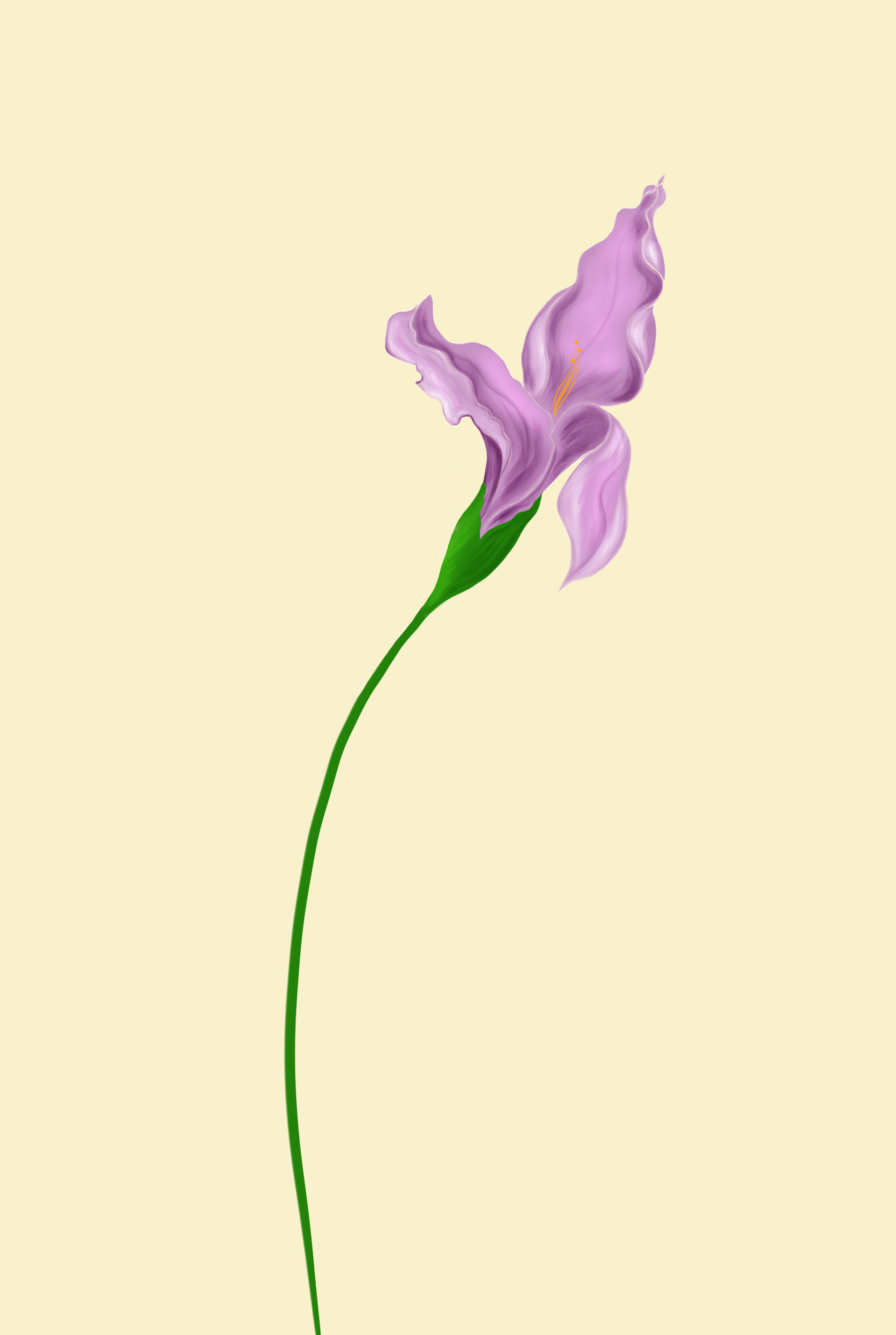 Iris.png