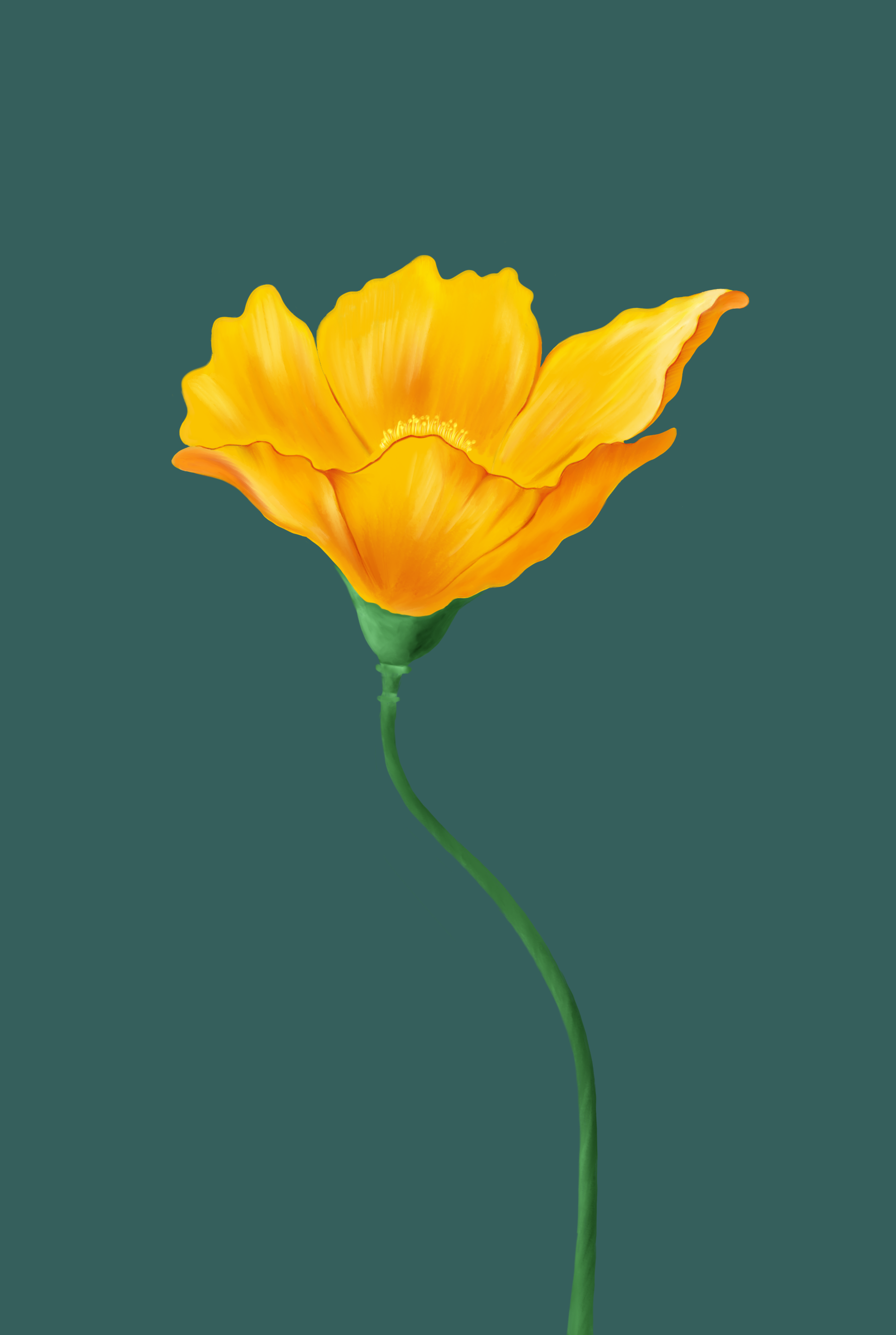 Poppy new green background.png
