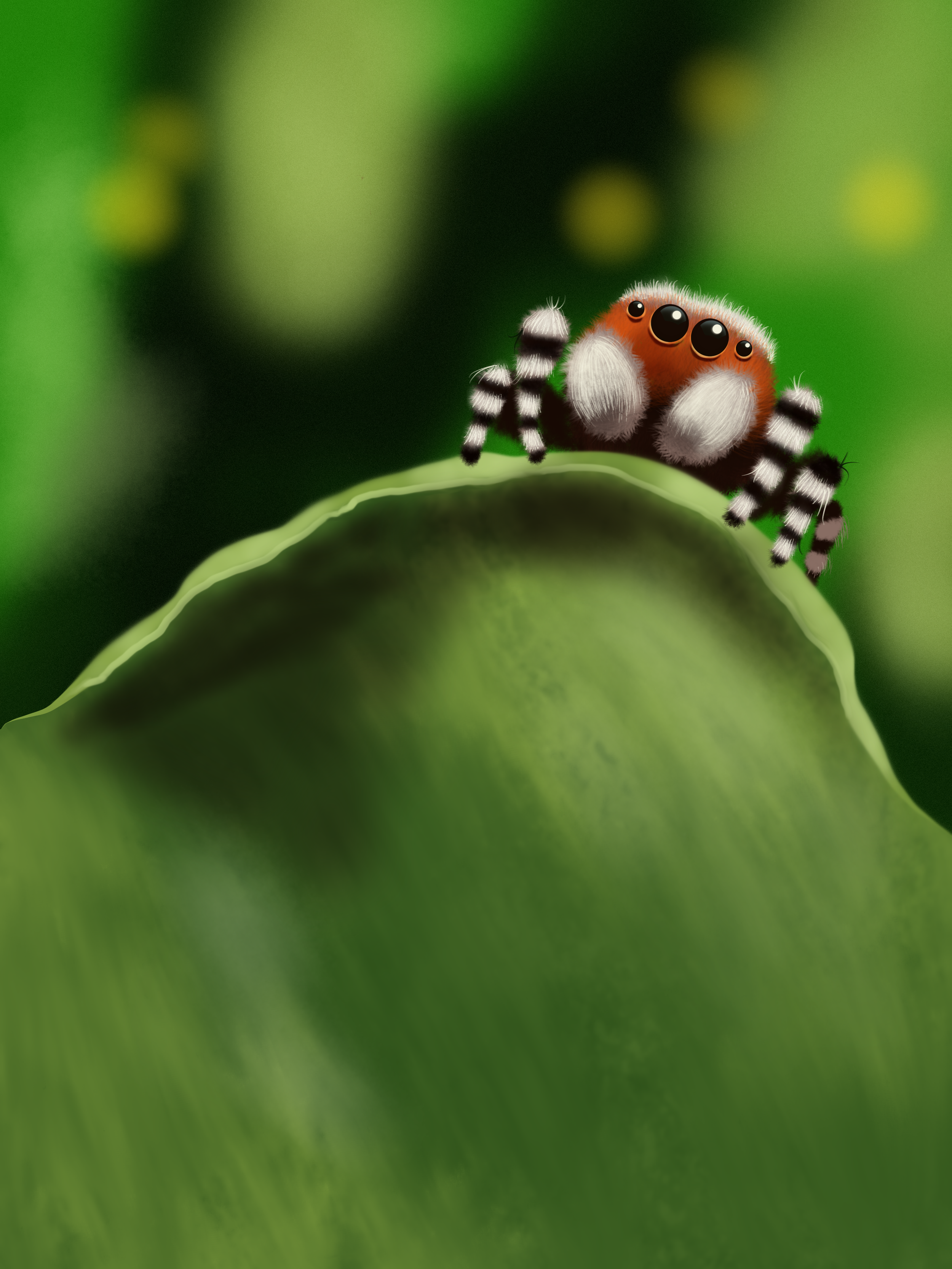Jumping Spider.png