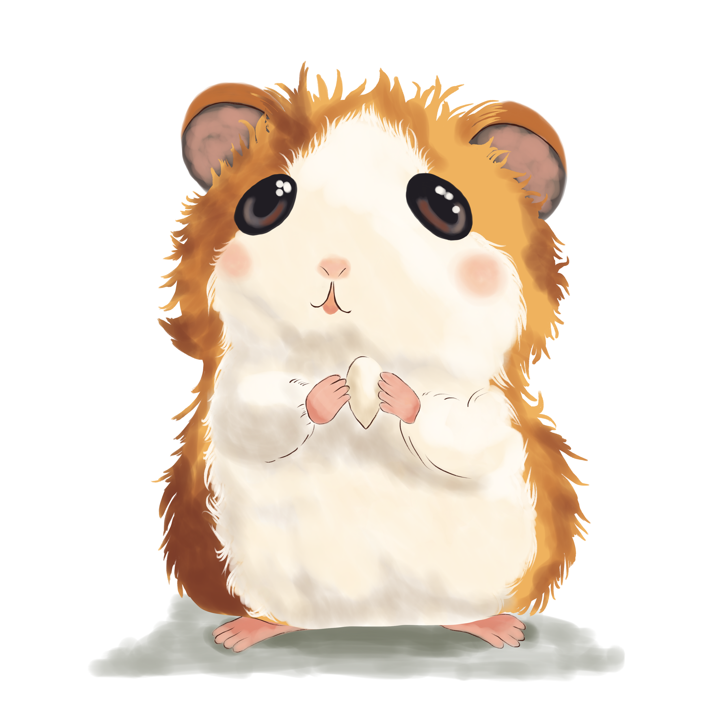 Hamster.png