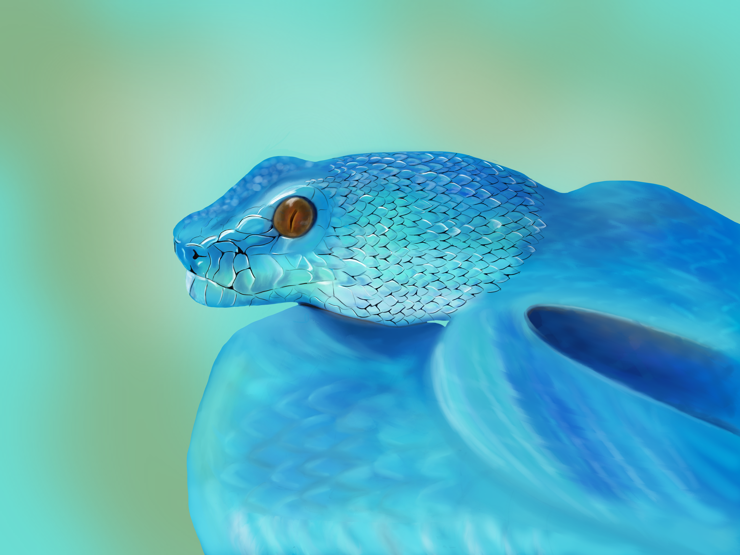 Snake 2.png