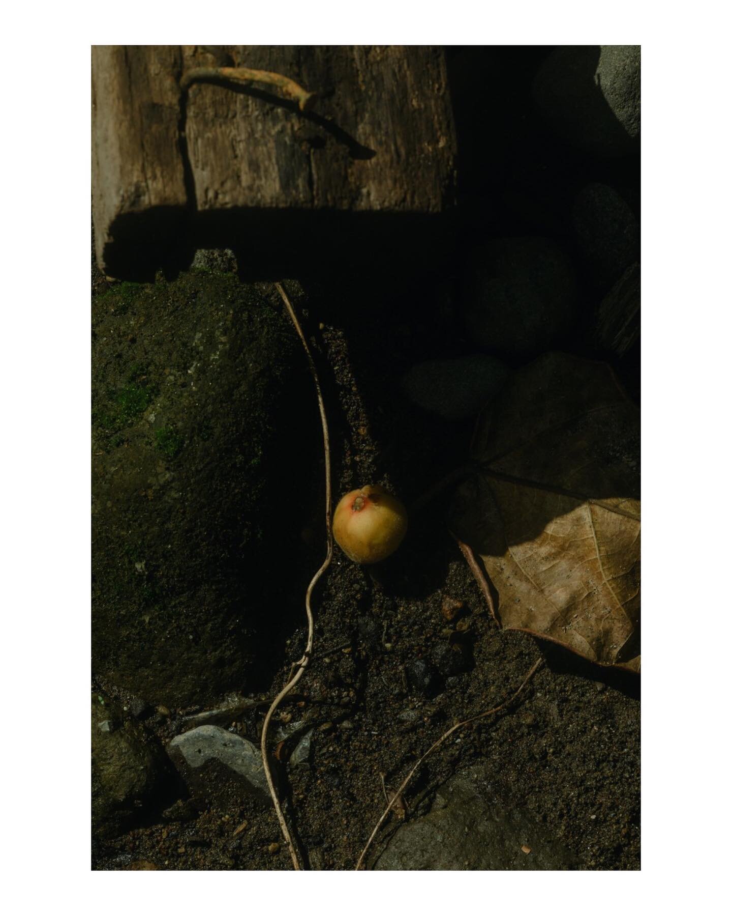 Still life. 🍑