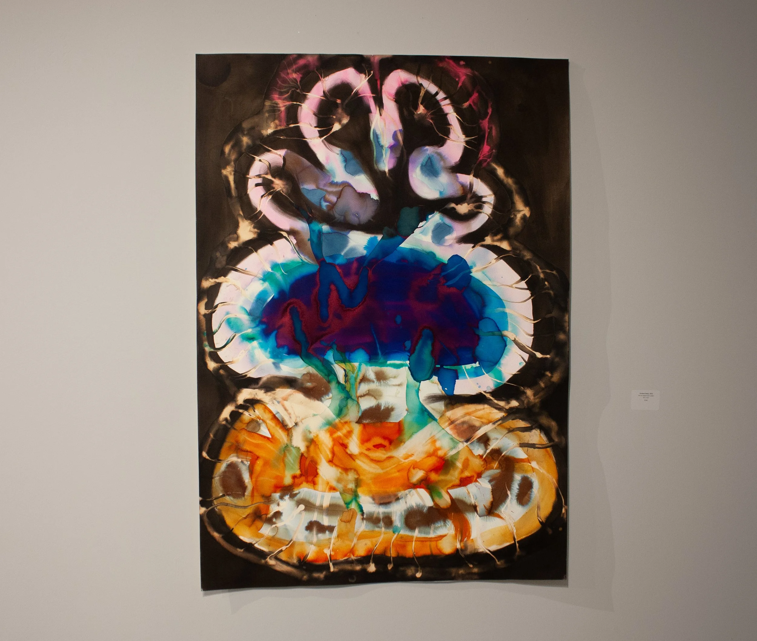 "Protean Spore," 2025. Rainwater and Ink on paper. 44 x 60 inches. 