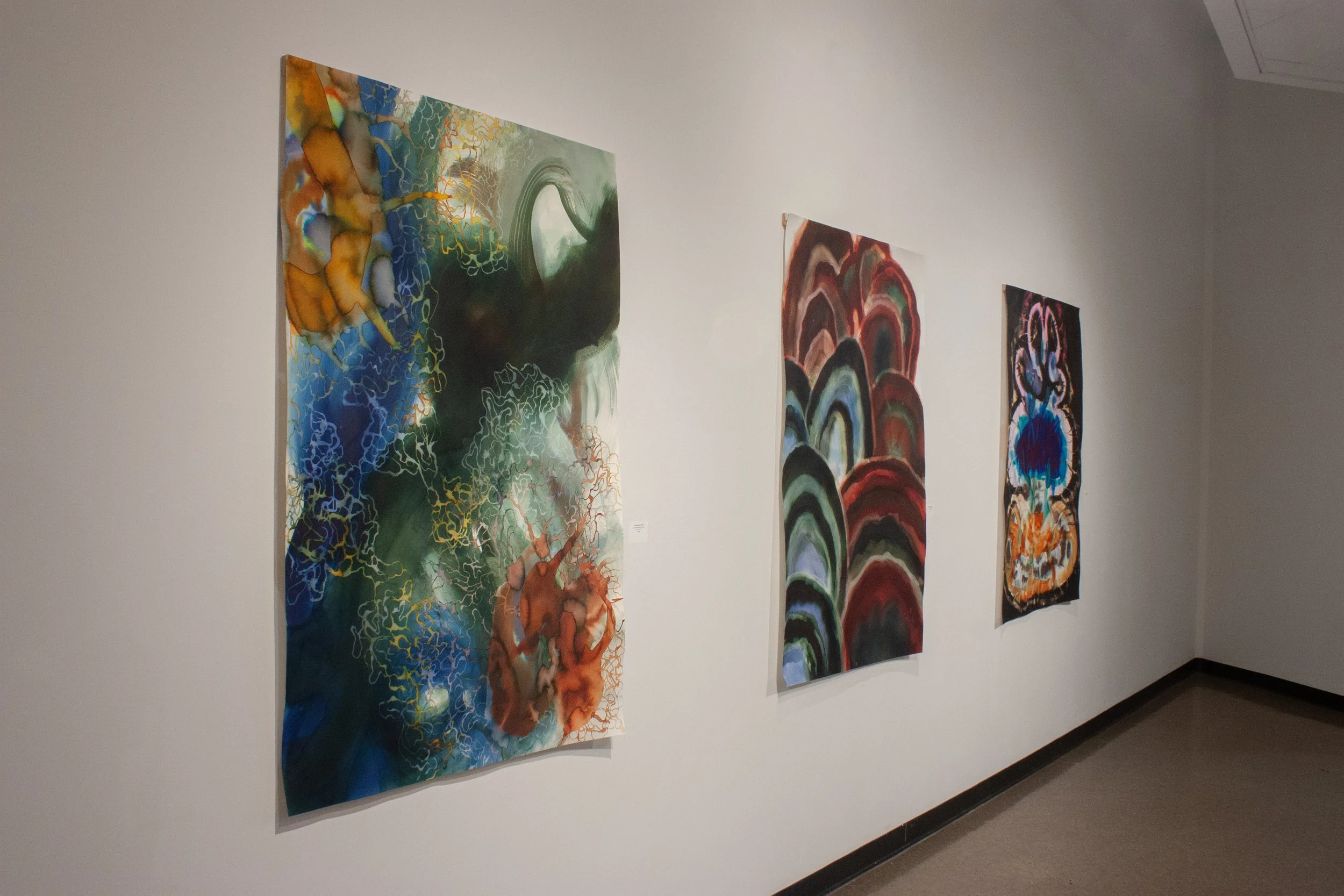 Installation view of "Transymbiosis" "Mutualism," and "Protean Spore." 2025, each 44x 60 inches. Rainwater and ink on paper. 