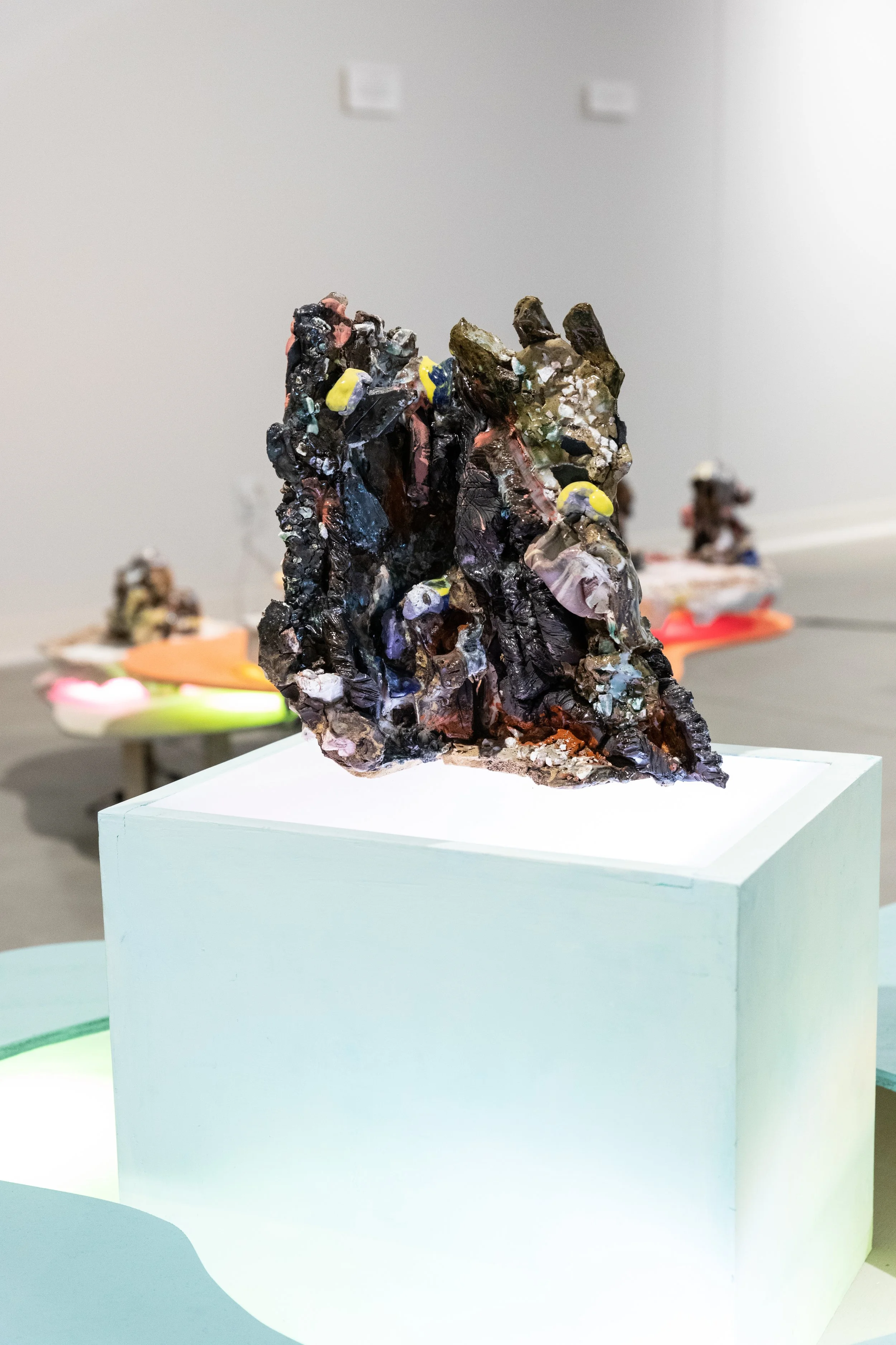 Installation view. Photo credit: Kalaija Mallery