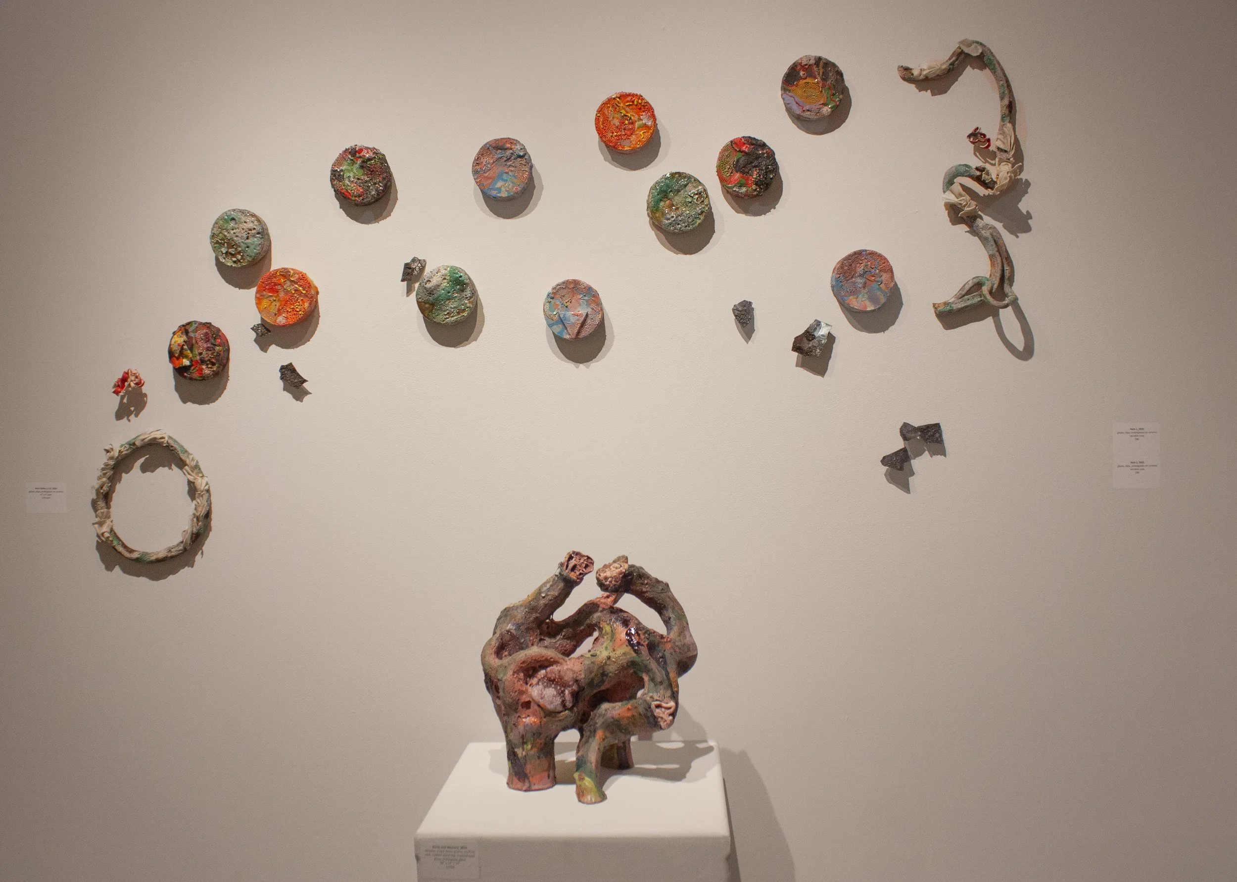 Installation view ft. "Petri Dish" series and "Roots and Neurons," 2024-2025. 