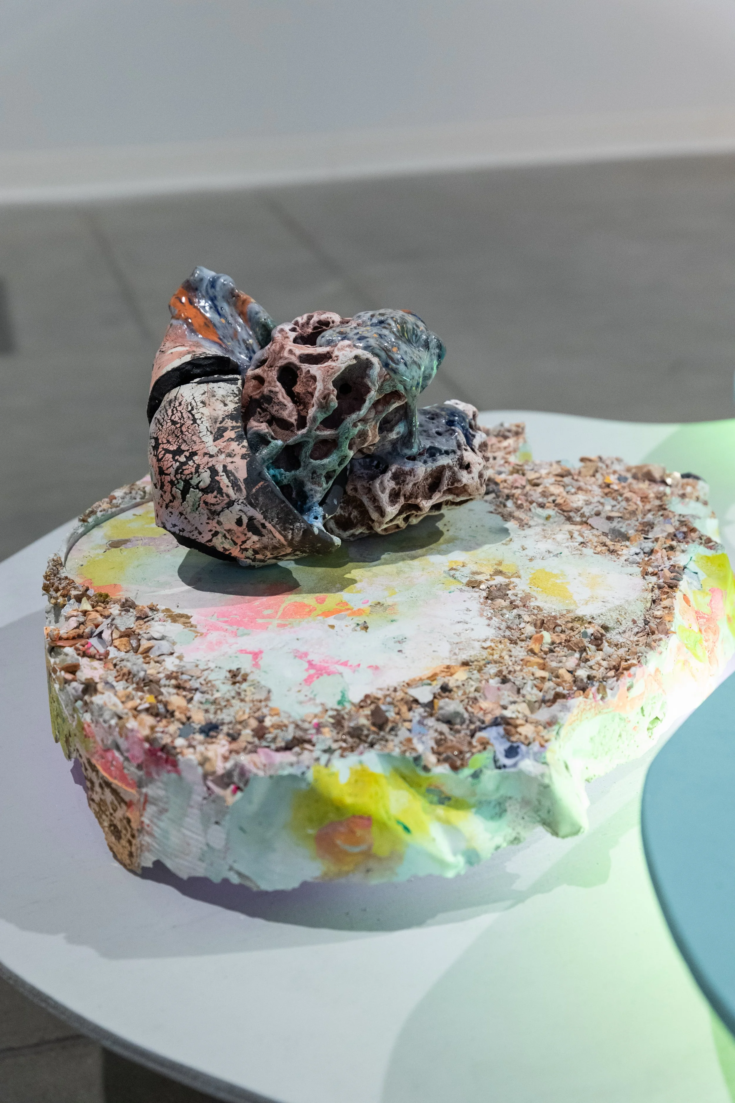 Installation view. Photo credit: Kalaija Mallery