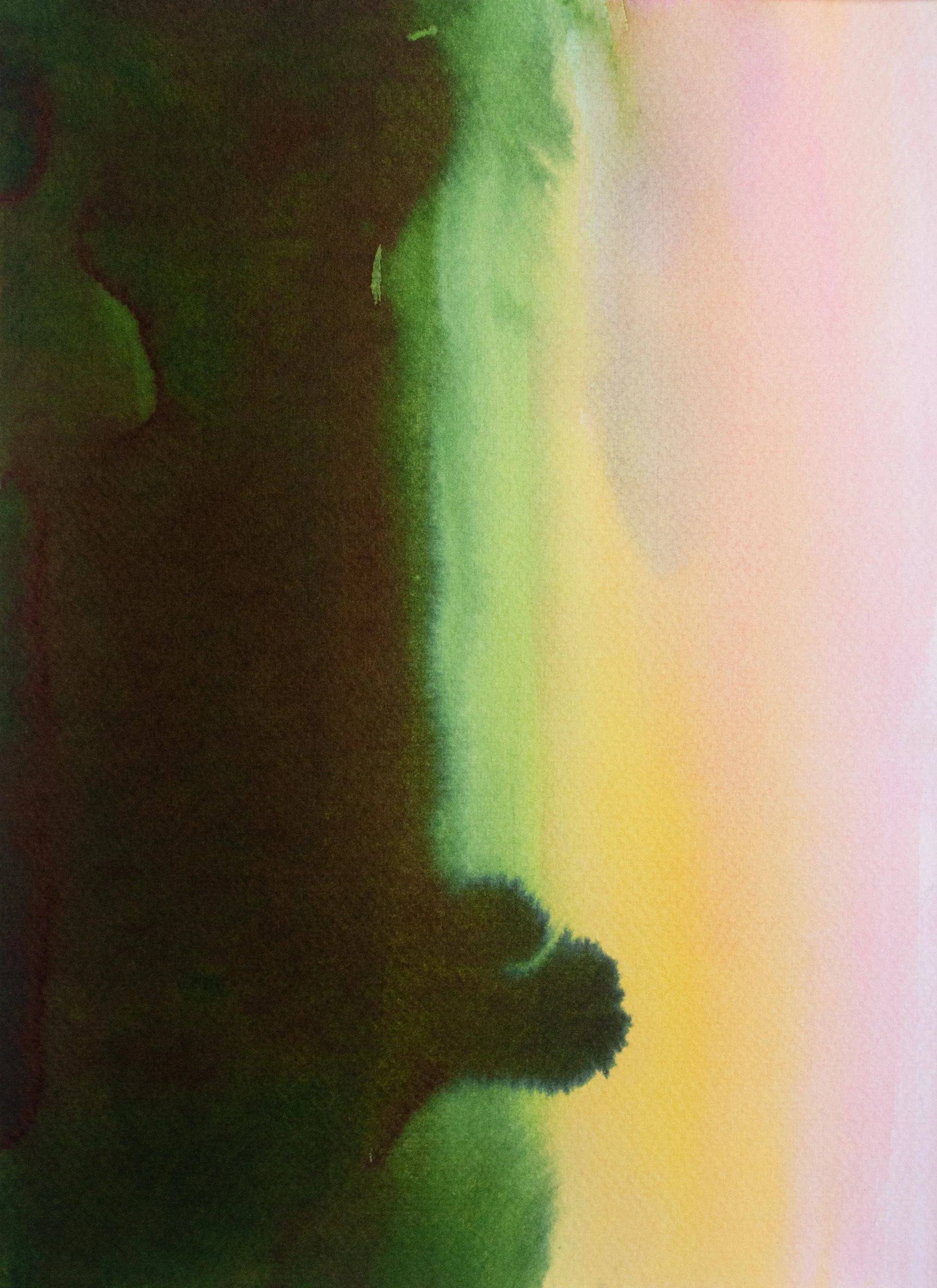 Lichen Breath Study 7, 2025. Ink and water on paper. 9x12 inches.
