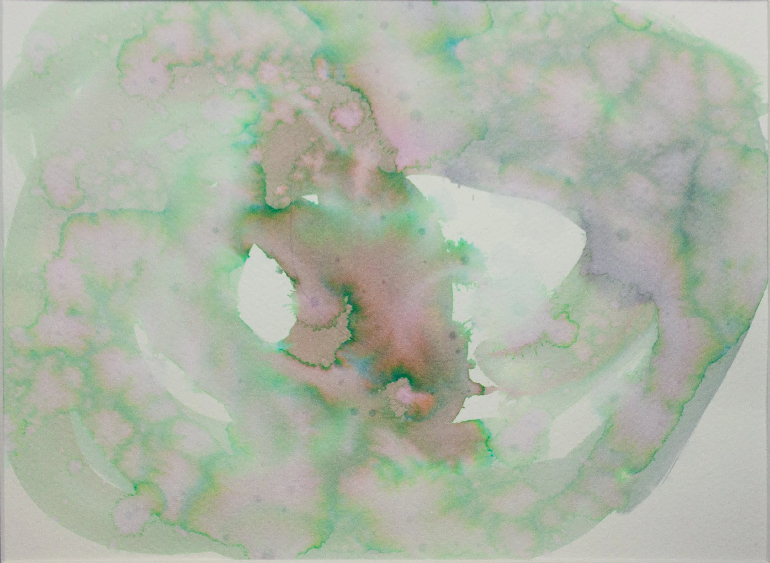 Rain collaboration 1, 2025. Ink and rainwater on paper. 9x12 inches.