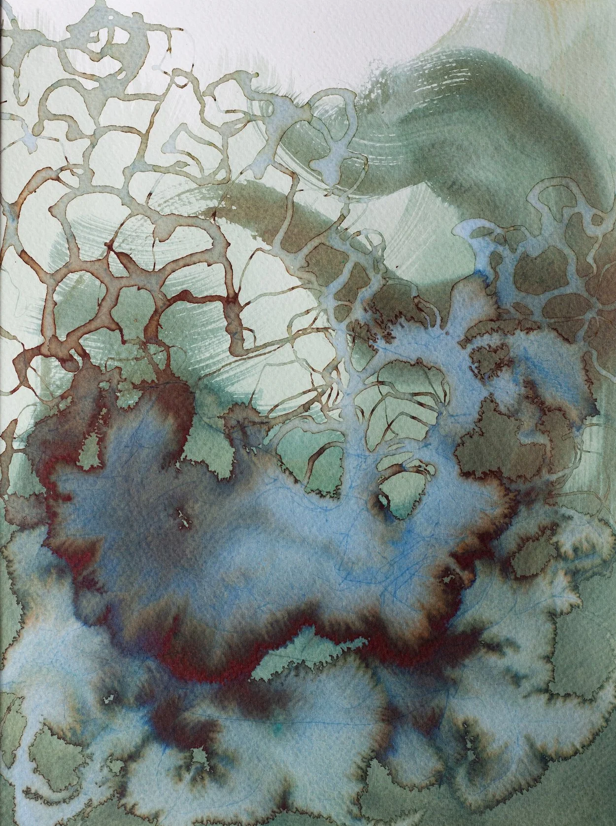 Lichen Breath Study 2, 2025. Ink and water on paper. 9x12 inches.
