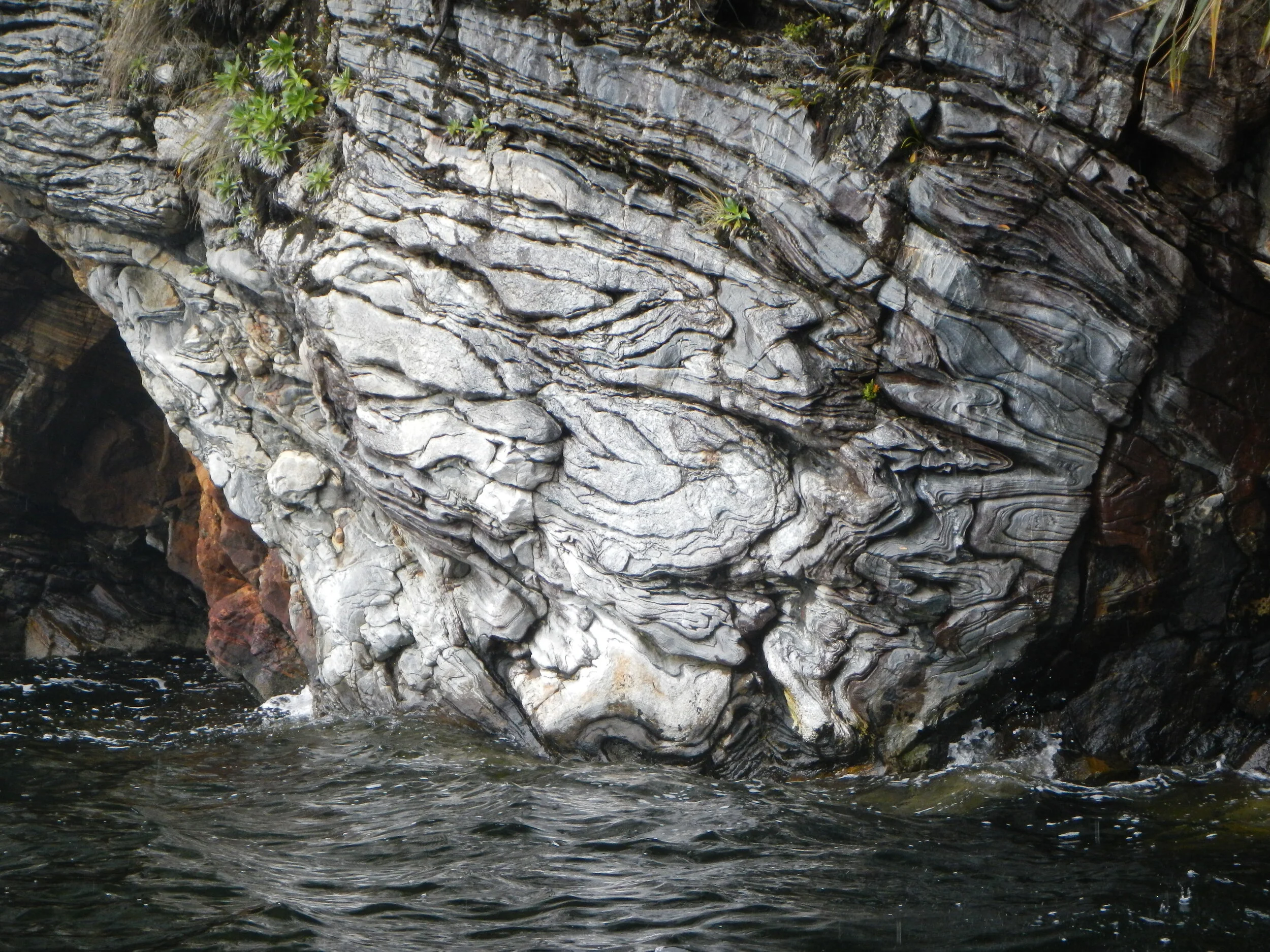 Doubtful Sound shear zone.JPG