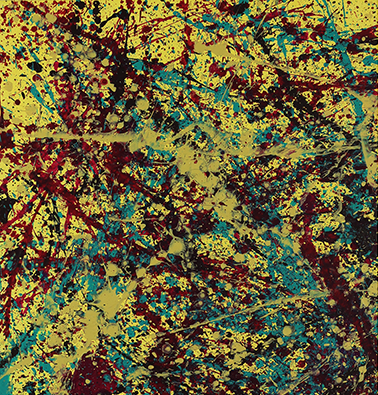 Pollock_800clip1.png