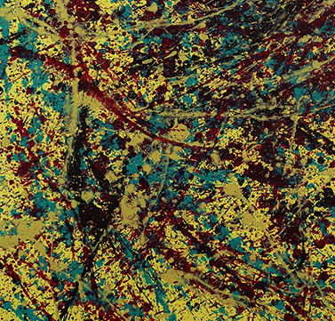 Pollock_800clip2.png