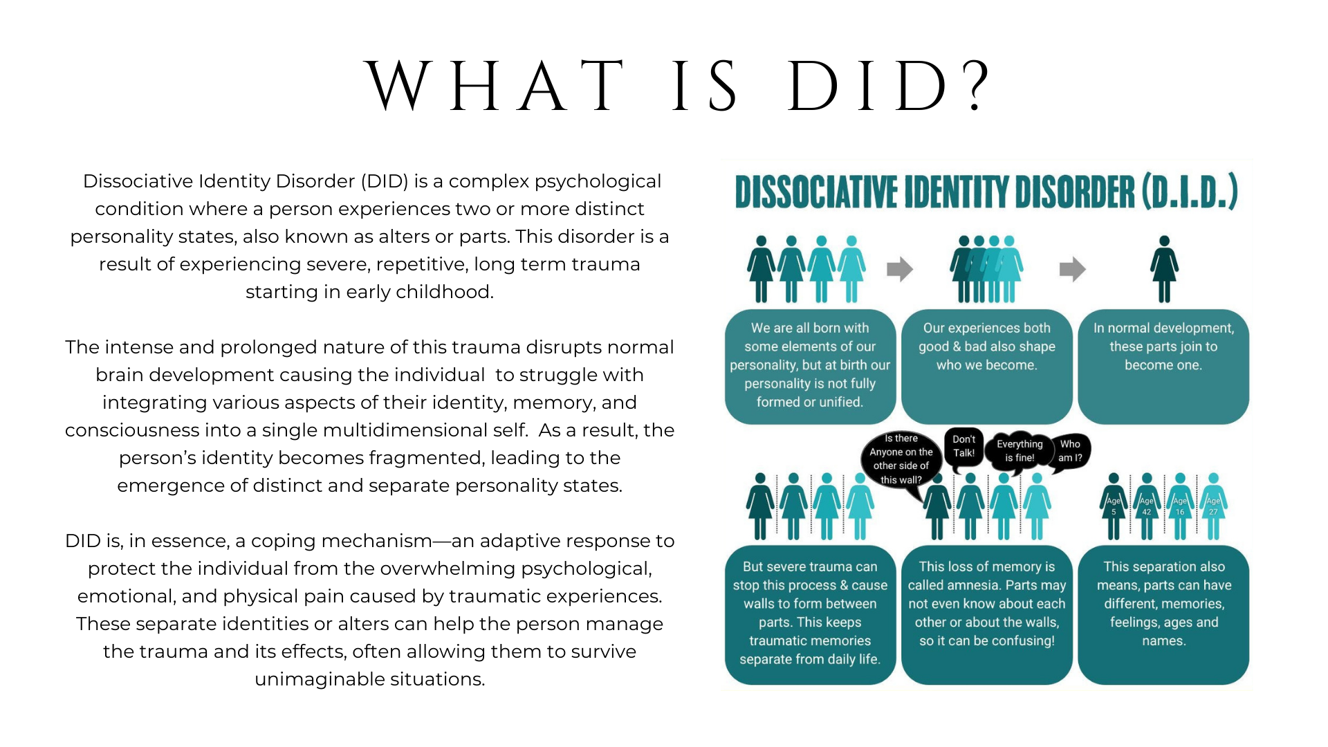 What is DID? A Portrait of DID Dissociative Identity Disorder