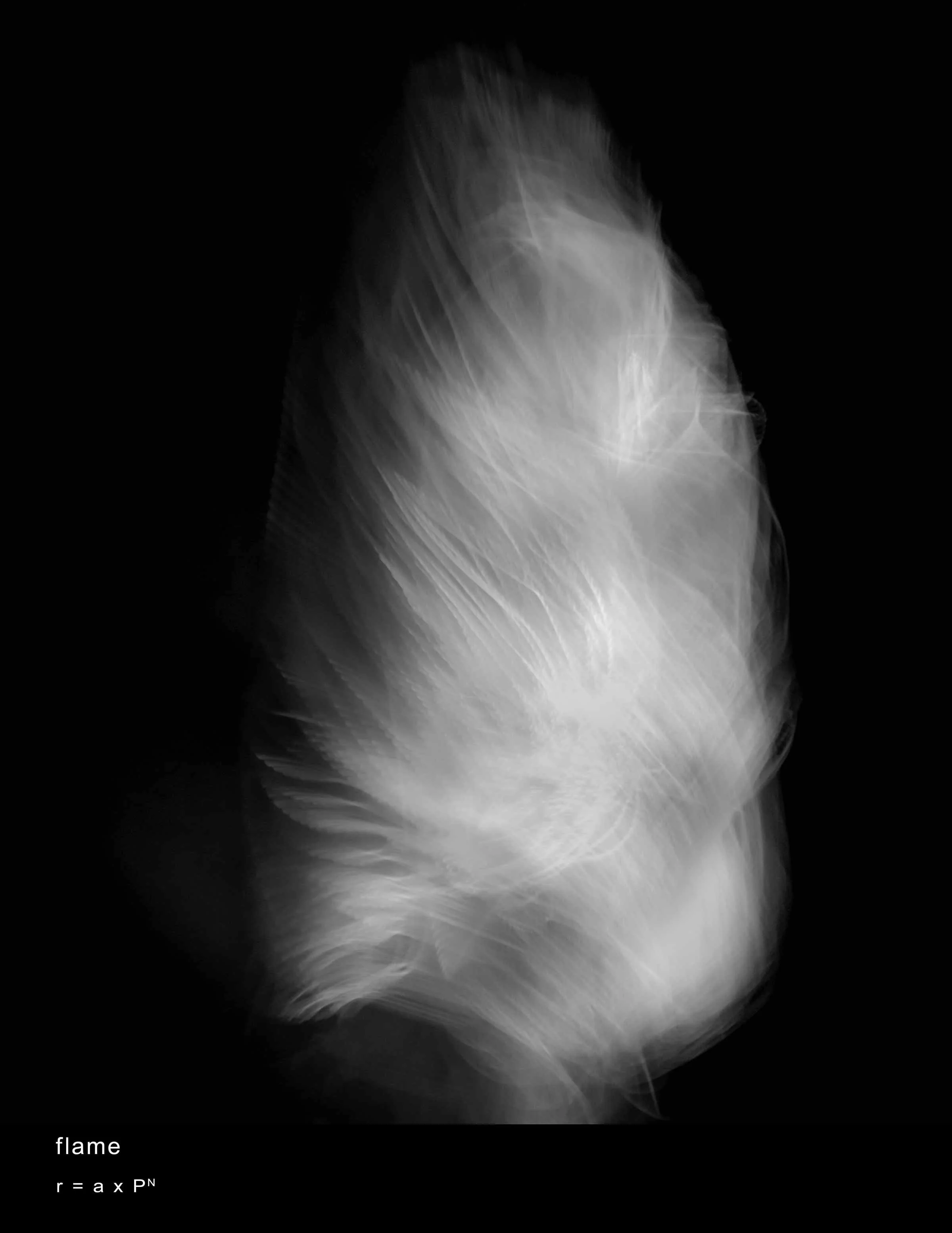 flame-with-text.jpg