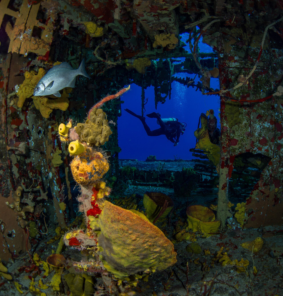Cayman Brac Shipwrecks Diver by Laura Tesler