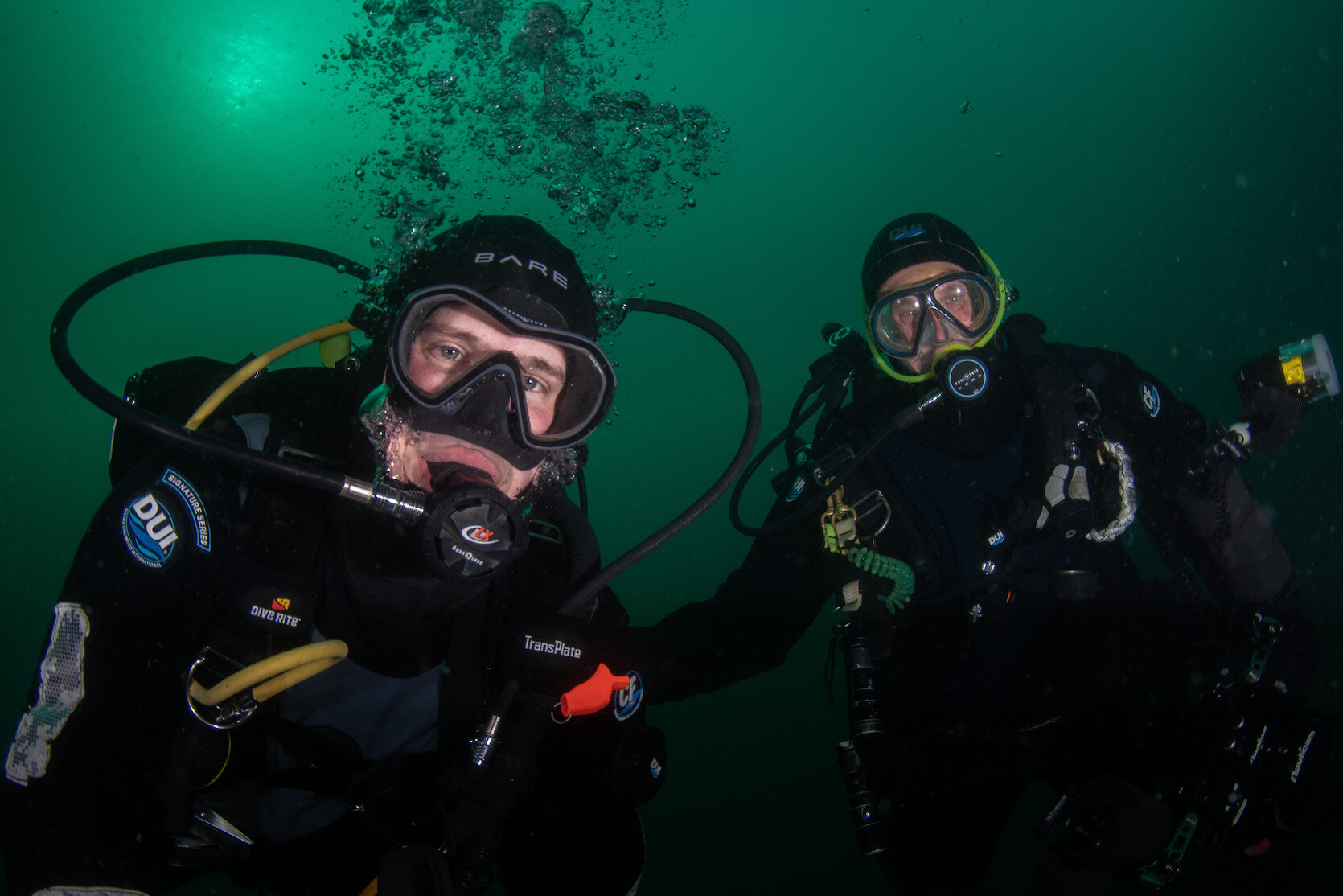 British Columbia Divers by Laura Tesler