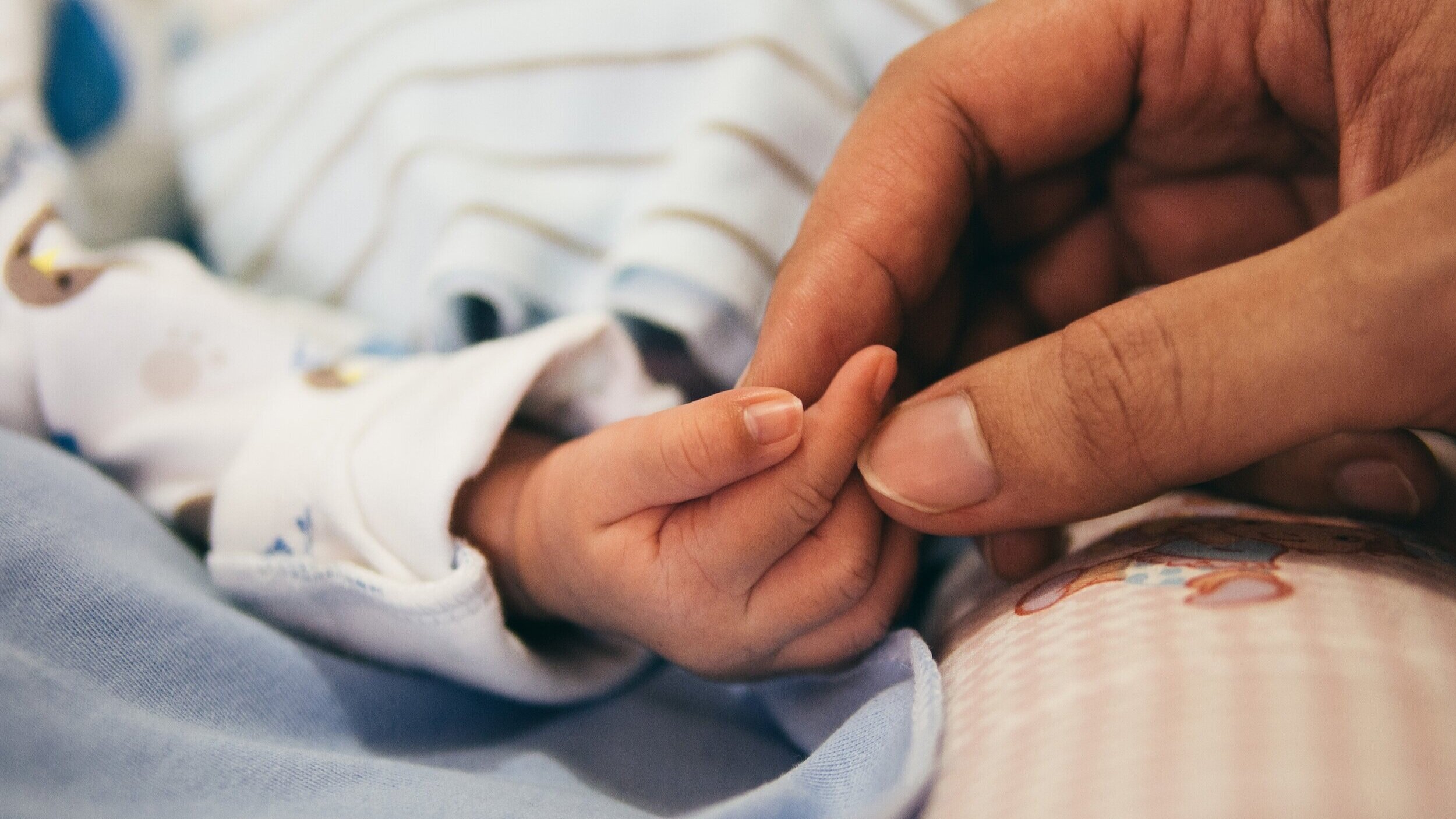  Photo of a grown-up hand holding an infant’s hand. 