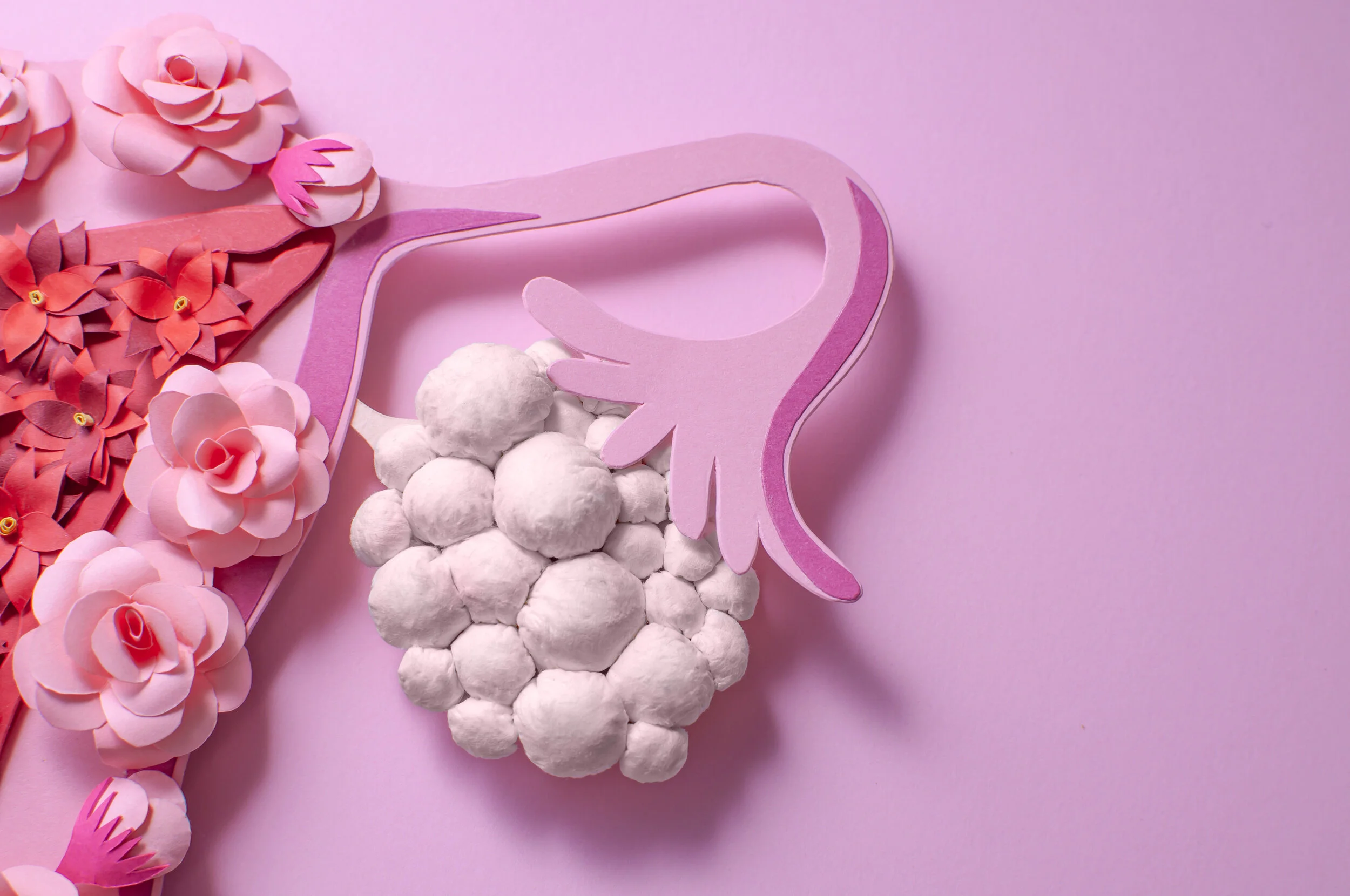 Foolproof Ovulation Prediction