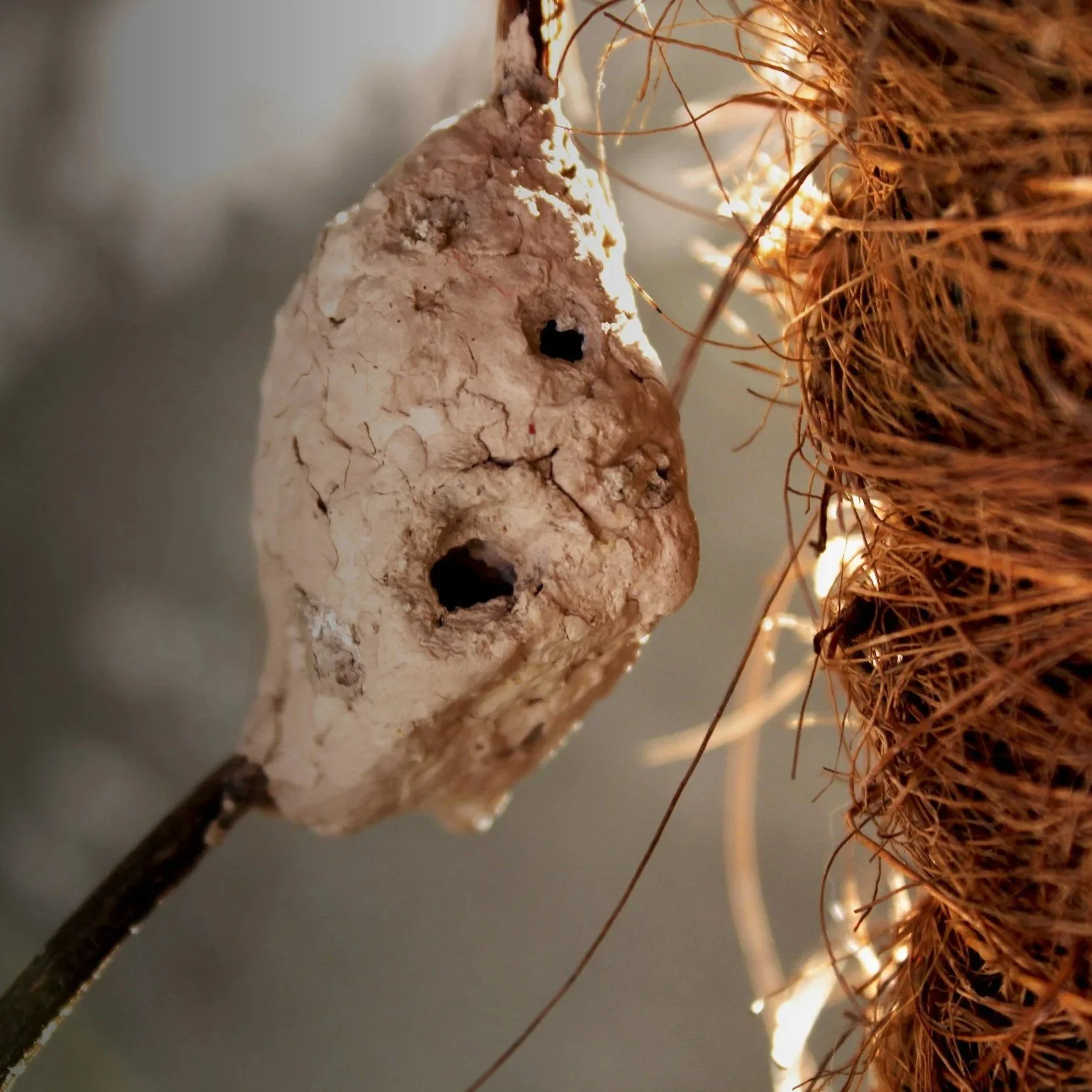 How Wasp Nests Become Dangerous in Hidden Outdoor Spaces