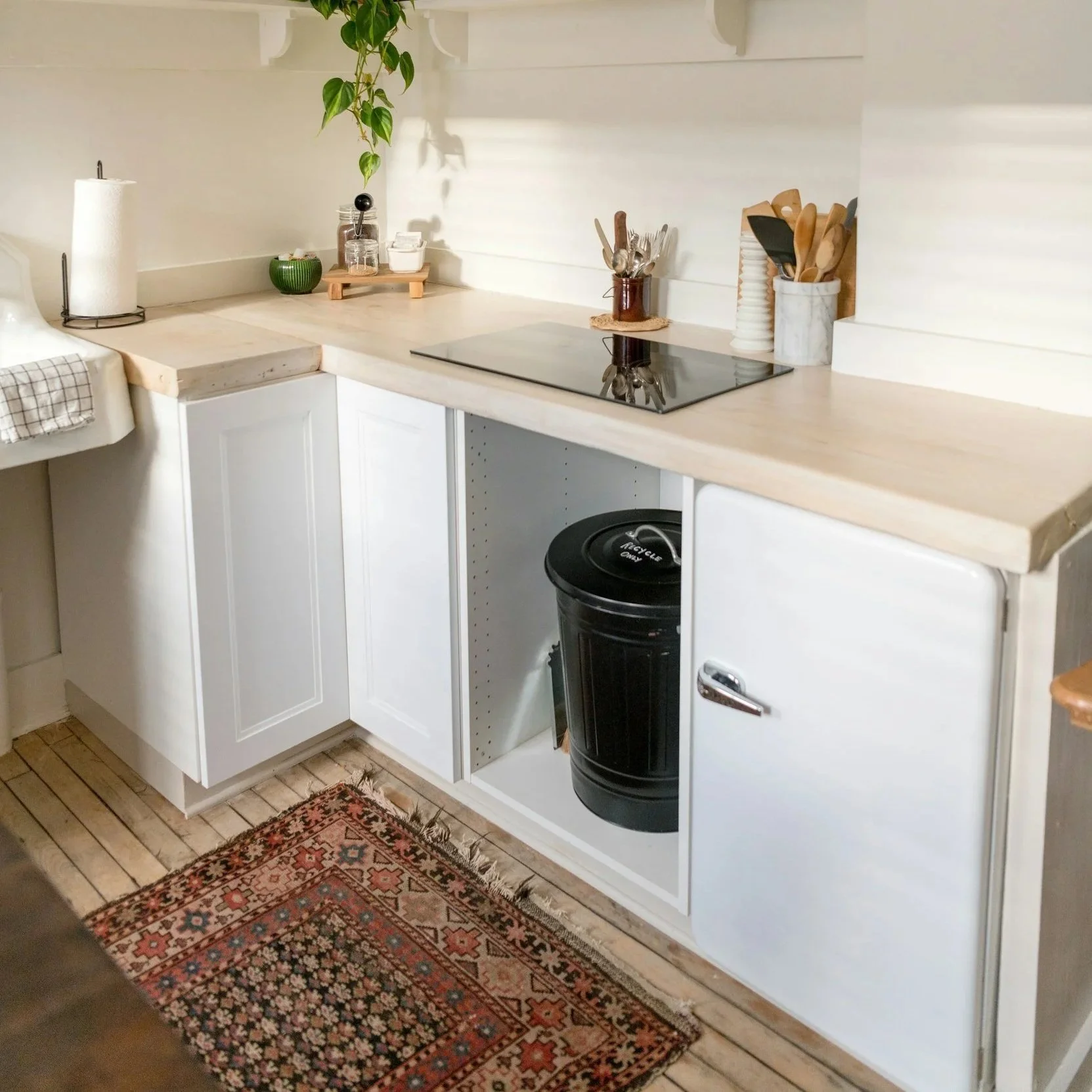 What Draws Flies Into Kitchens and Garbage Areas
