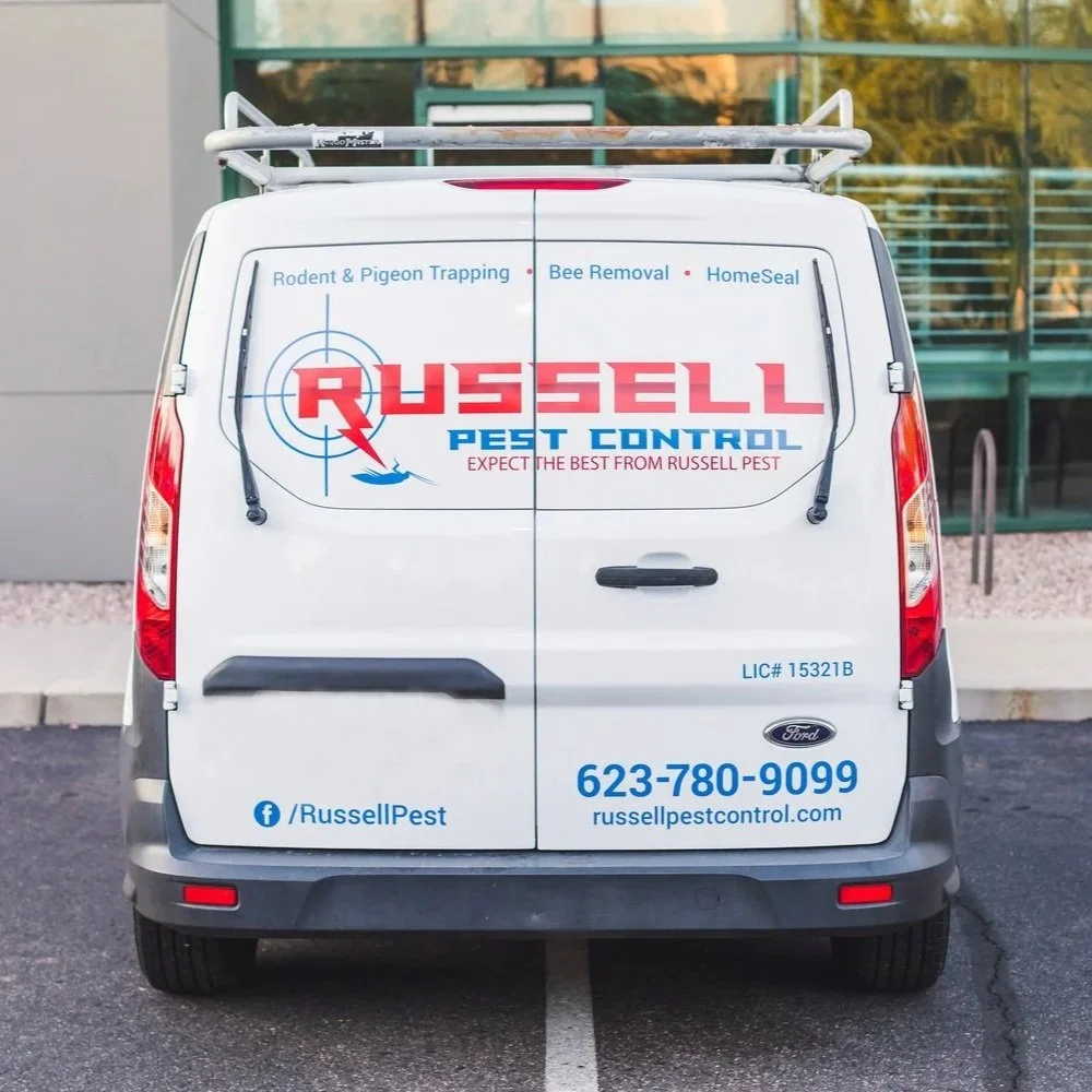 seasonal pest control arizona