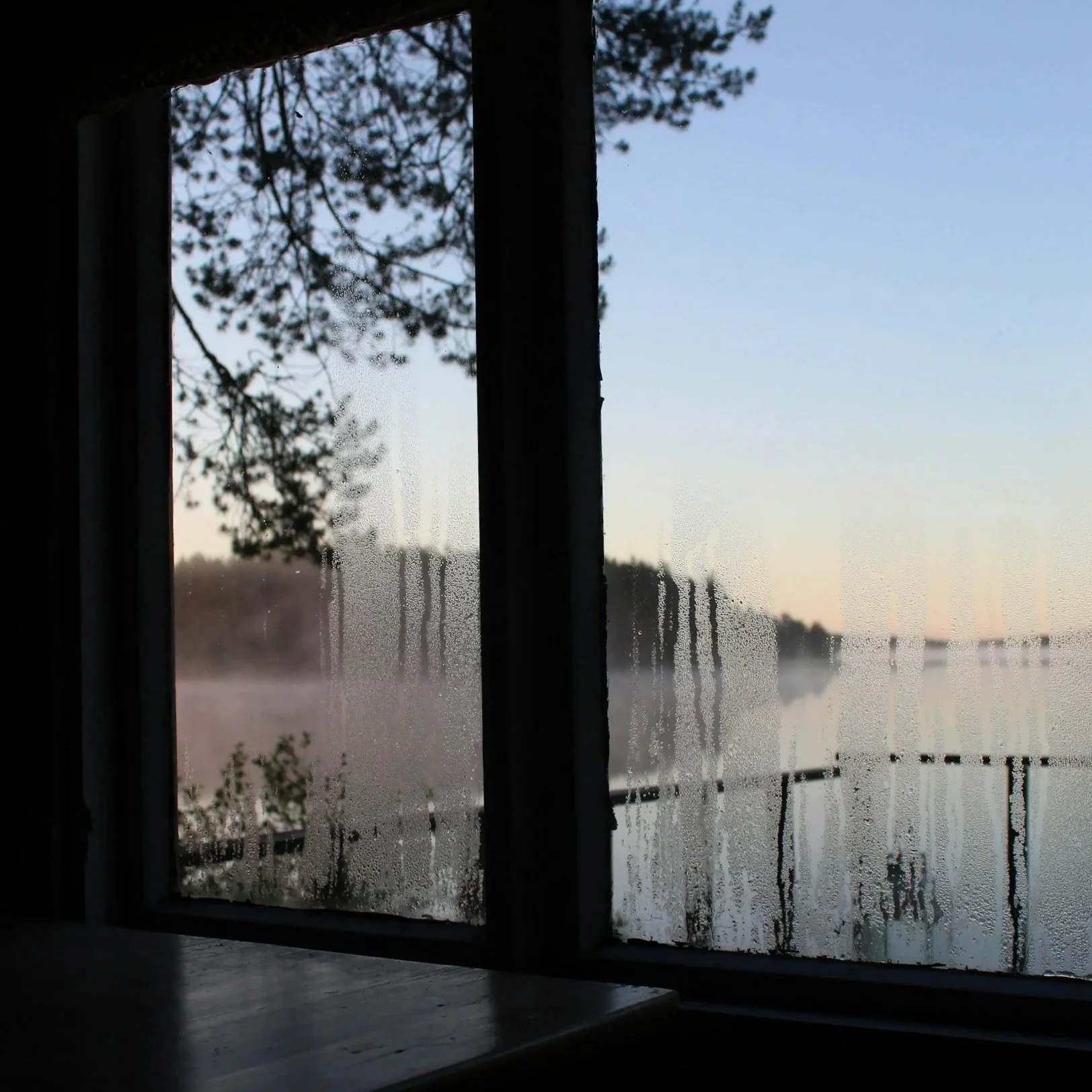 When Silverfish Damage Points to Moisture Problems Indoors