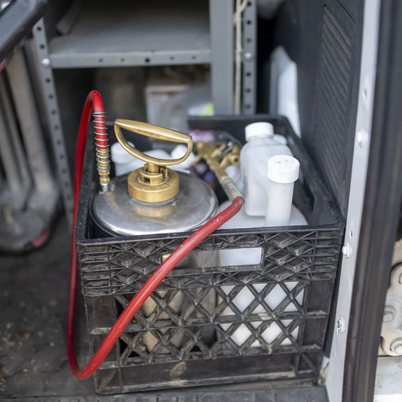 How Termite Activity Spreads Through Walls and Foundations