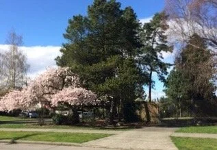 Dakota Urb Homestead 2.jpeg