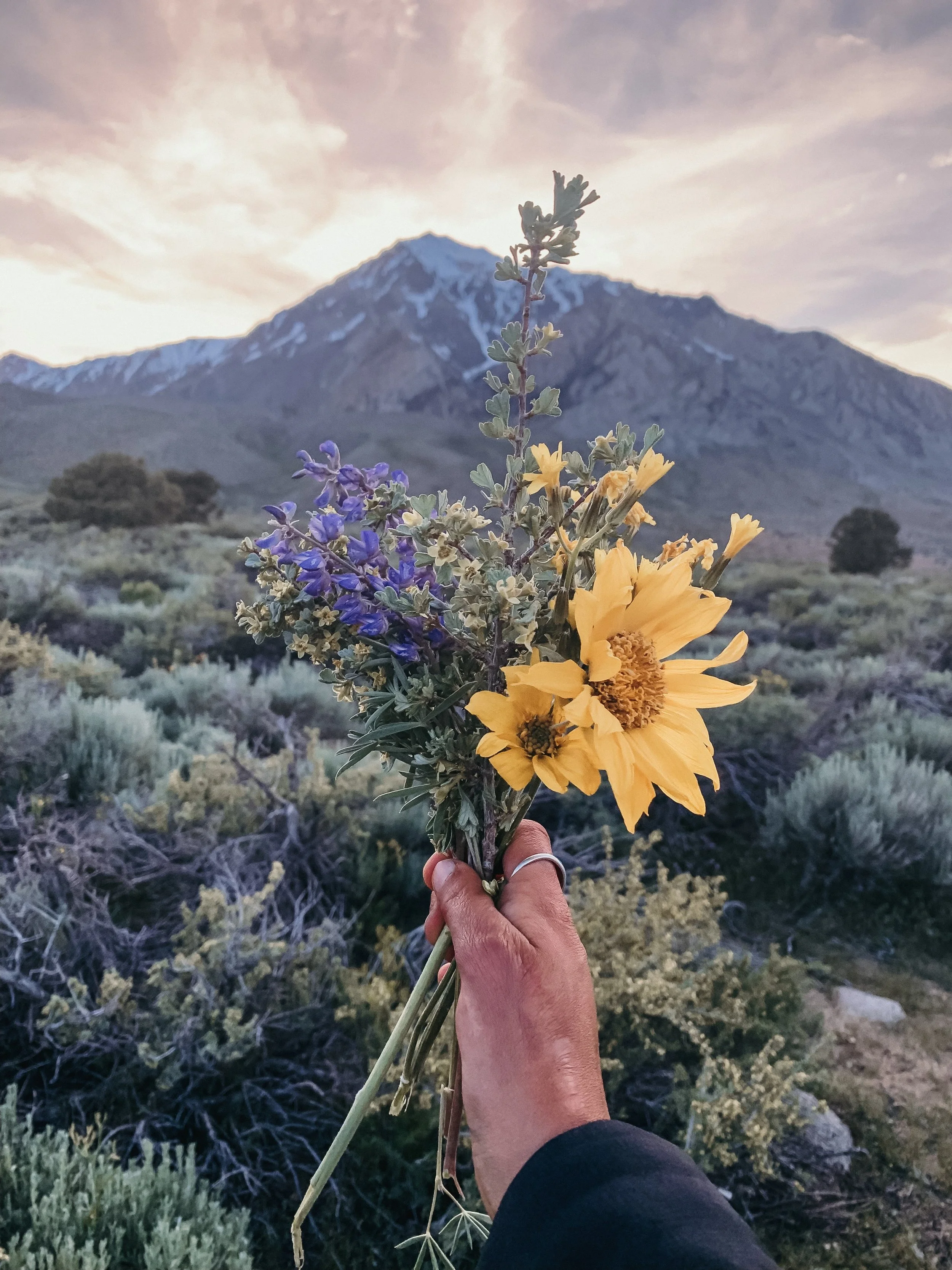 10.31.19 // Funeral Flowers.