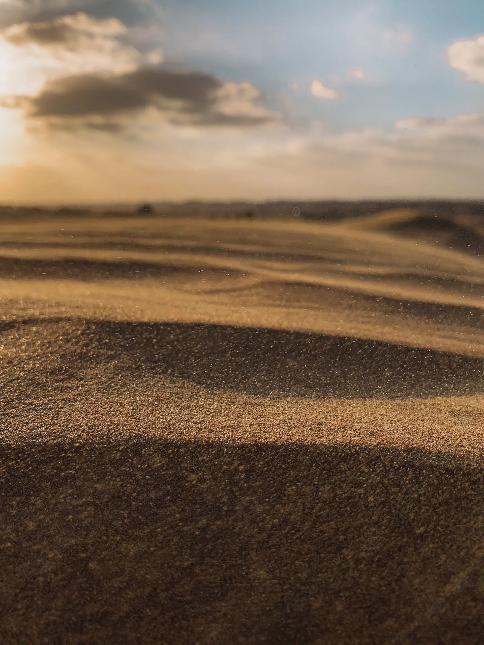 2.26.20 // Let’s Explore New Places Together...