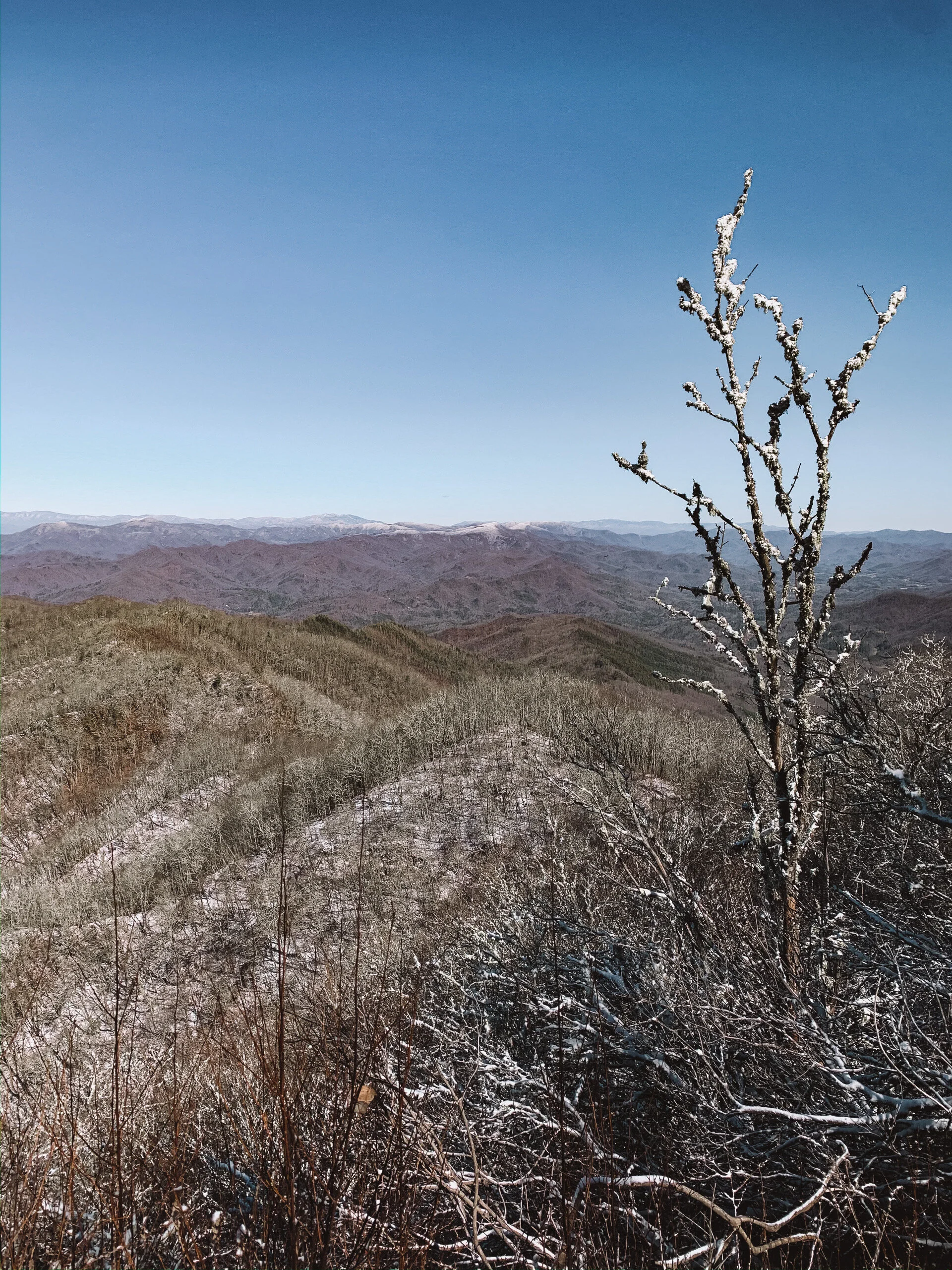 3.11.20 // Let’s Explore New Places Together...