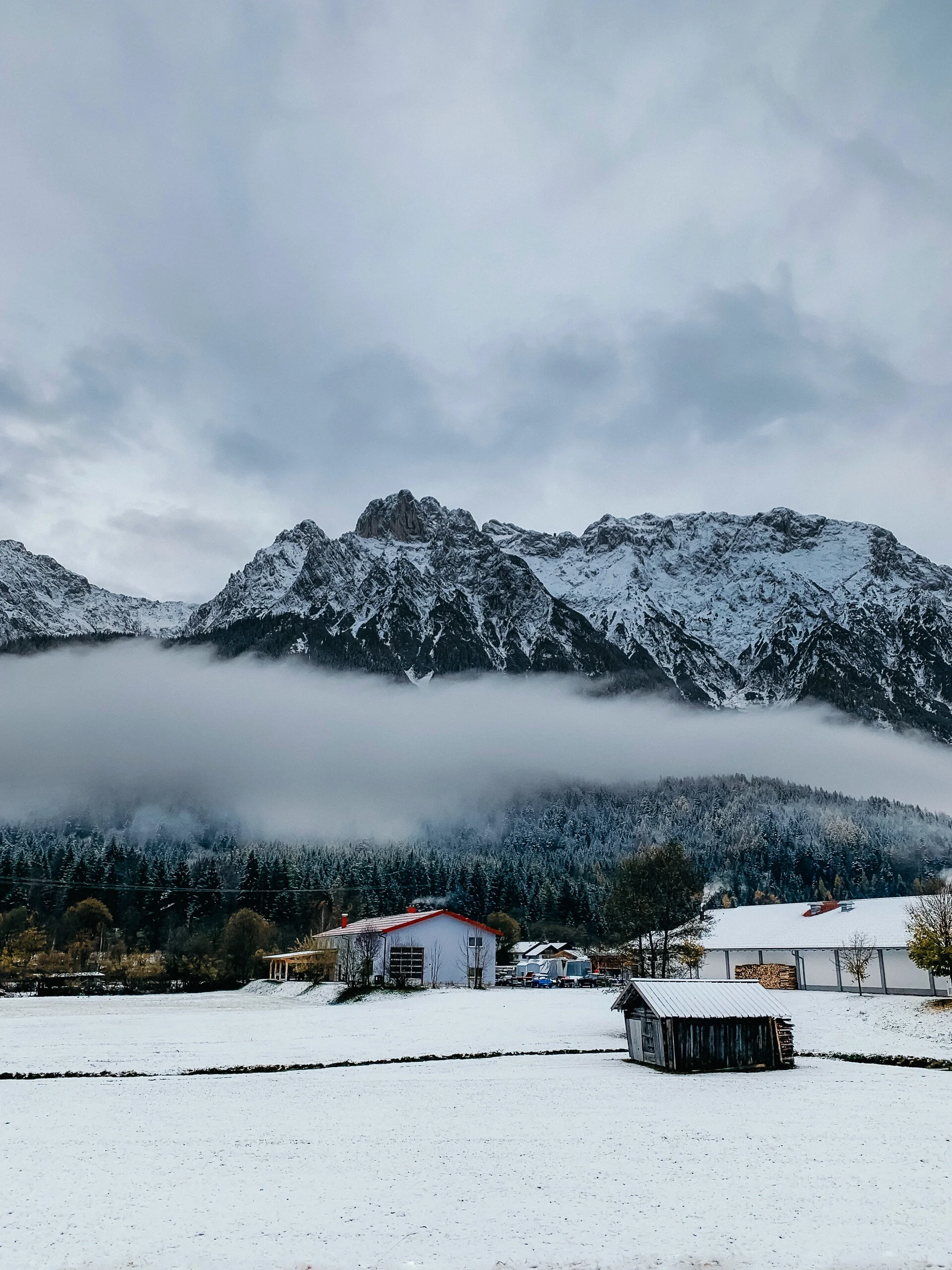 3.23.20 // The Quiet.