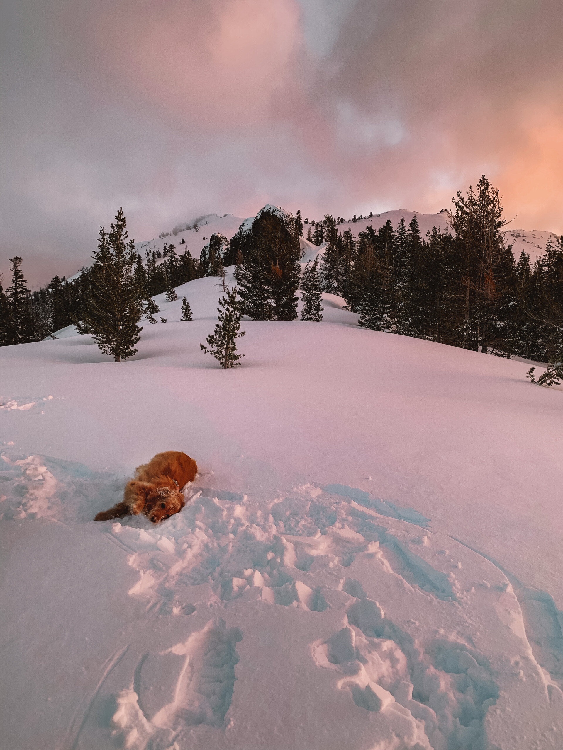 4.3.20 // Just in Case You Forgot...