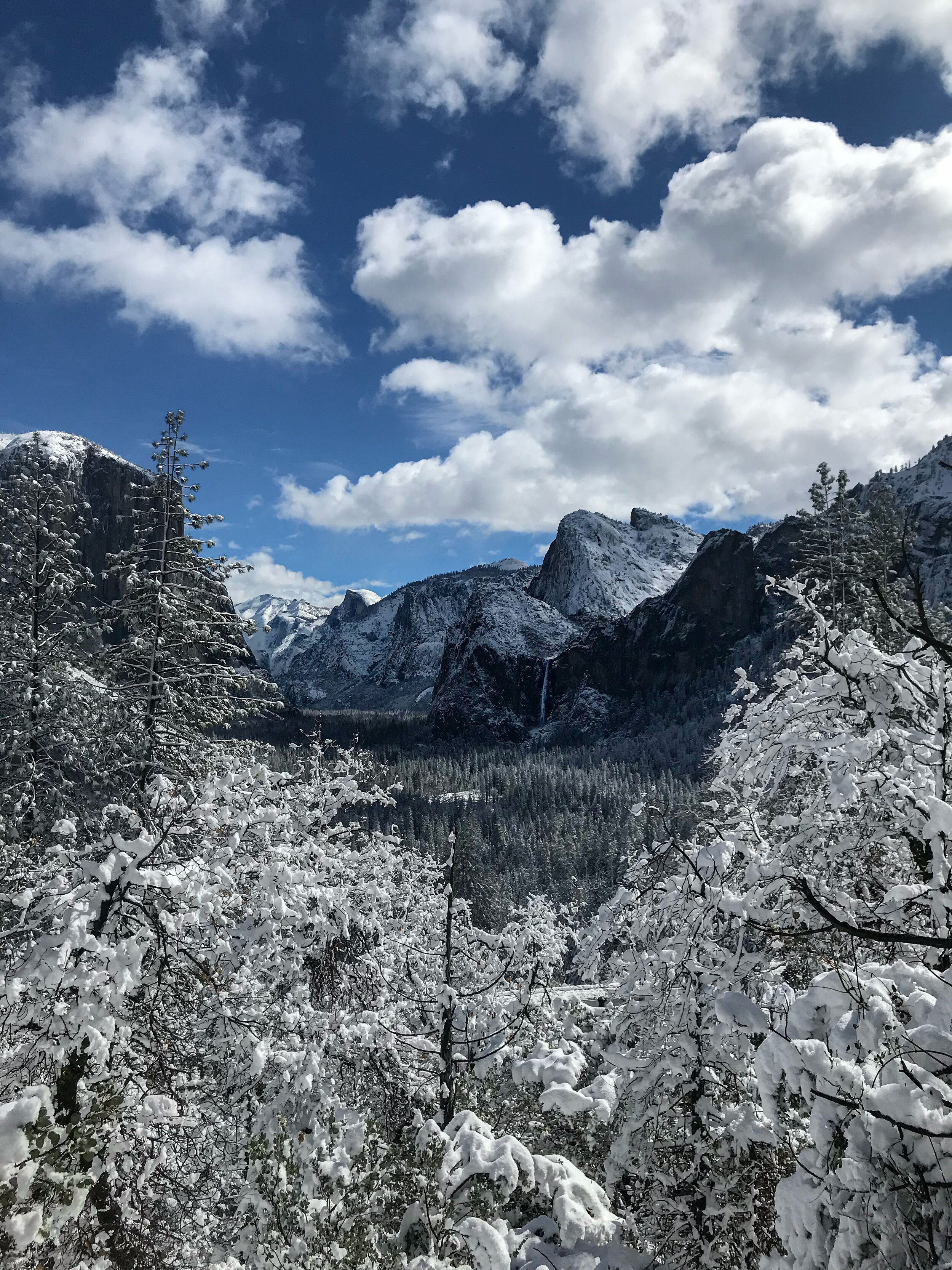 4.6.20 // I Think About You...