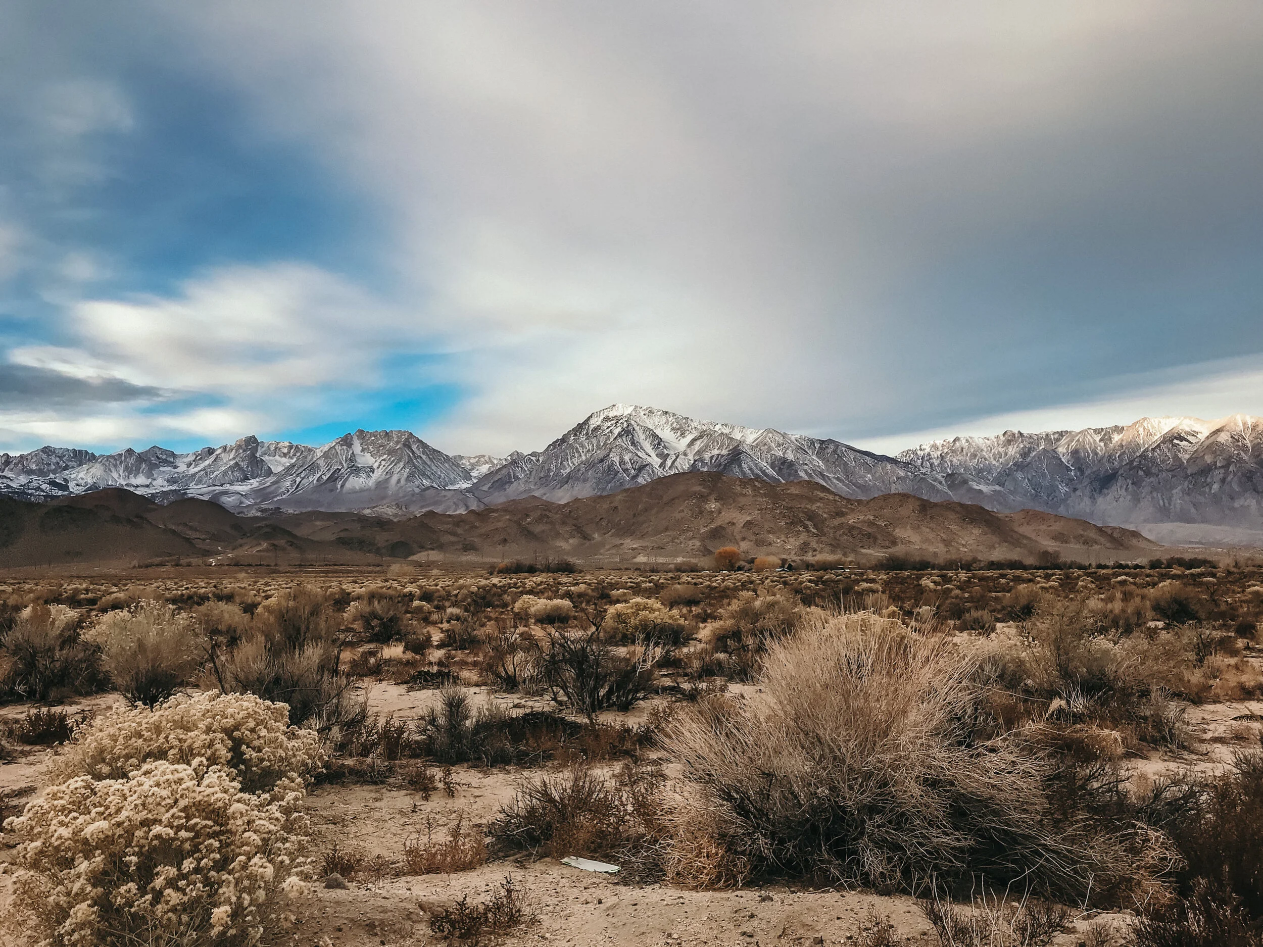 4.13.20 // If I Close My Eyes...